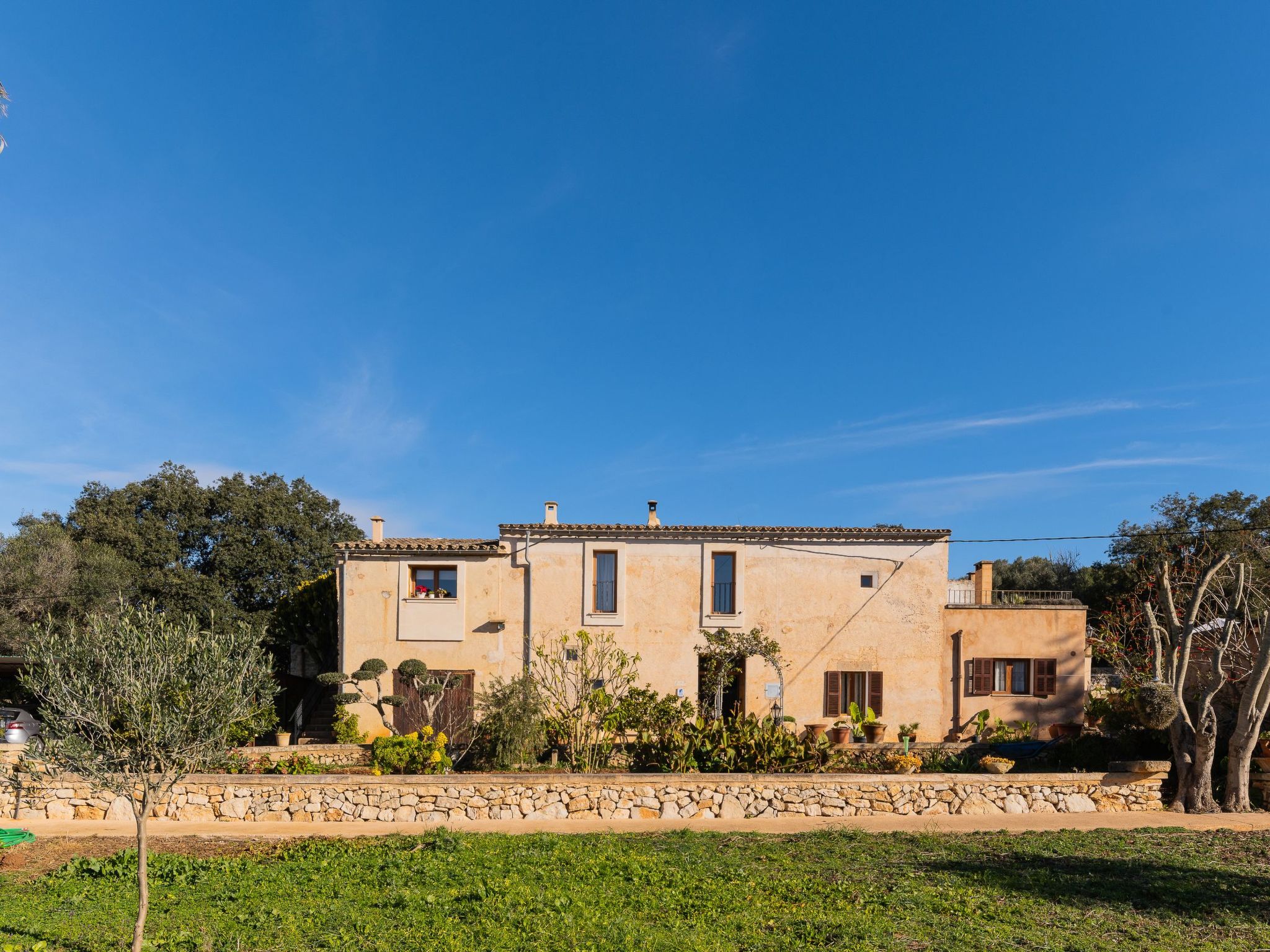 Cavea-Image-tags.info