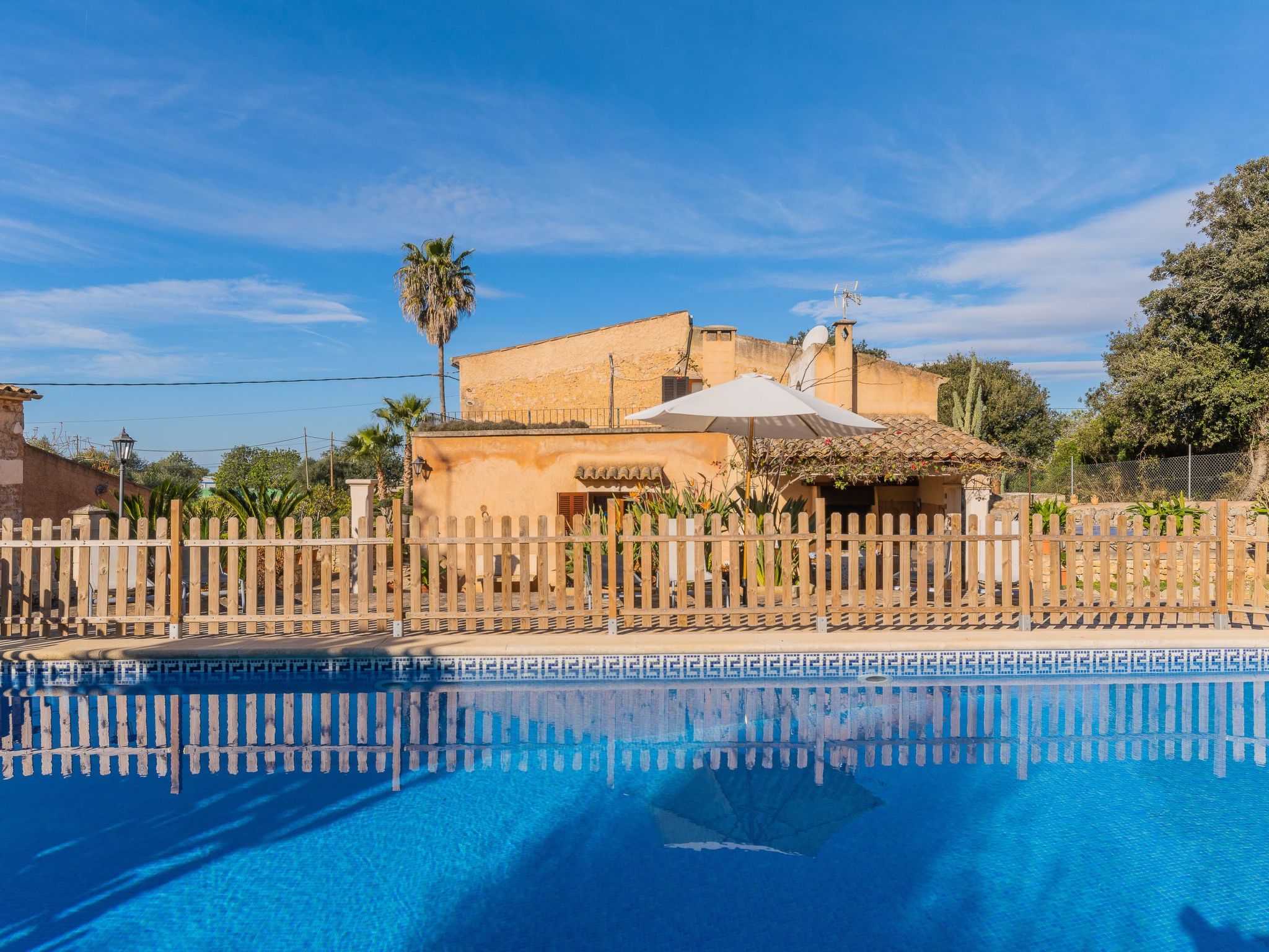 Cavea-Image-tags.info