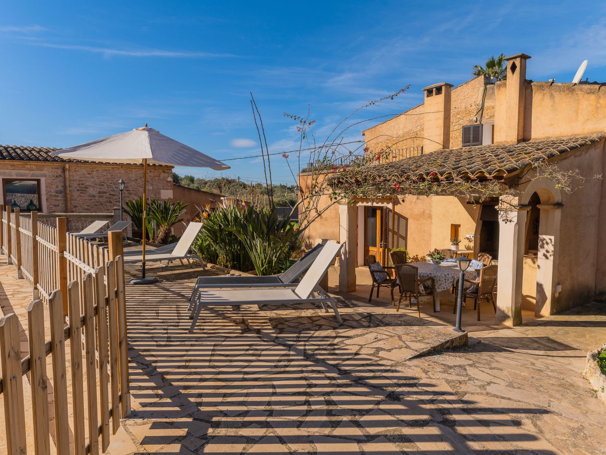 Cavea-Image-tags.info