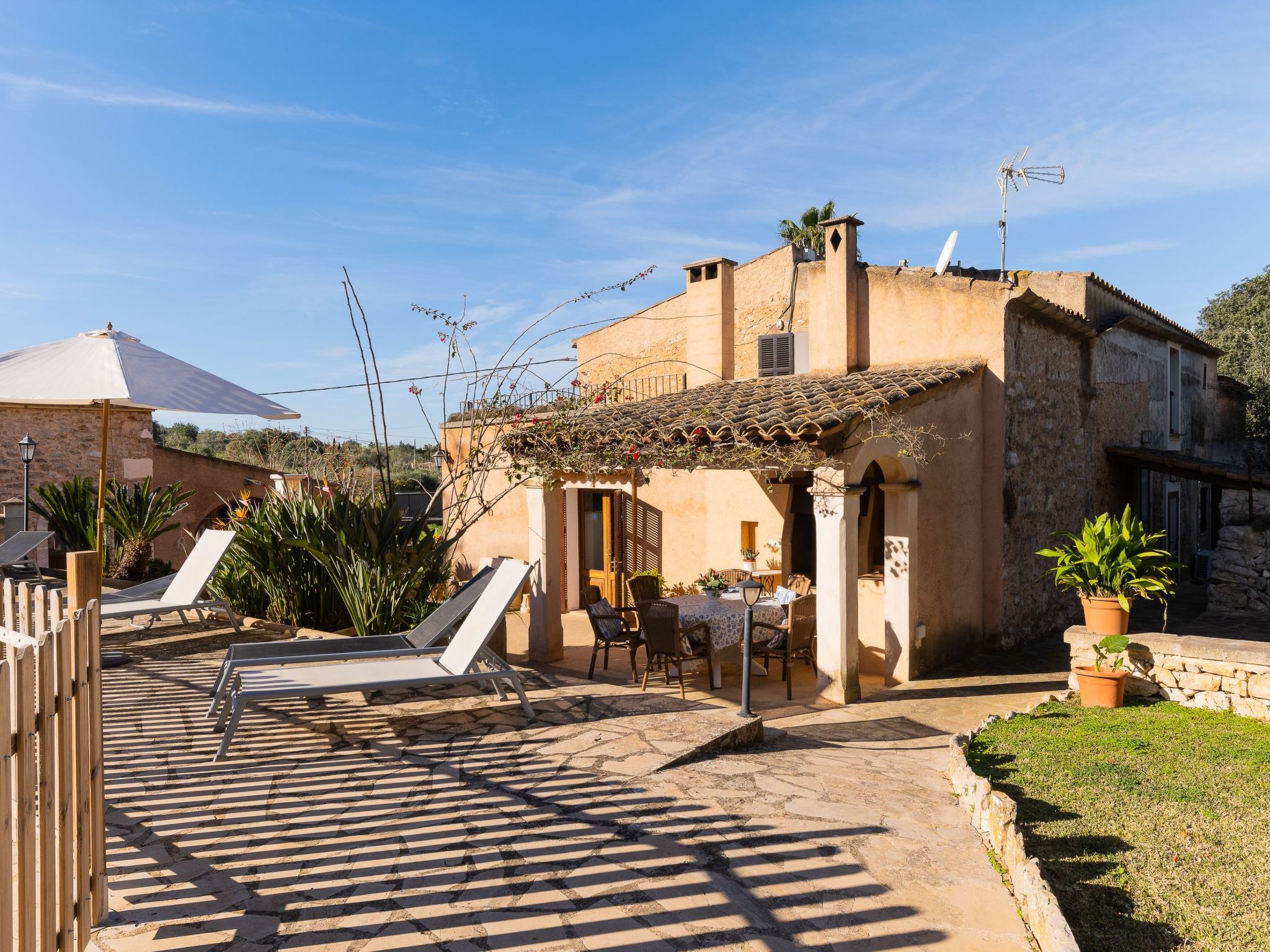 Cavea-Image-tags.info