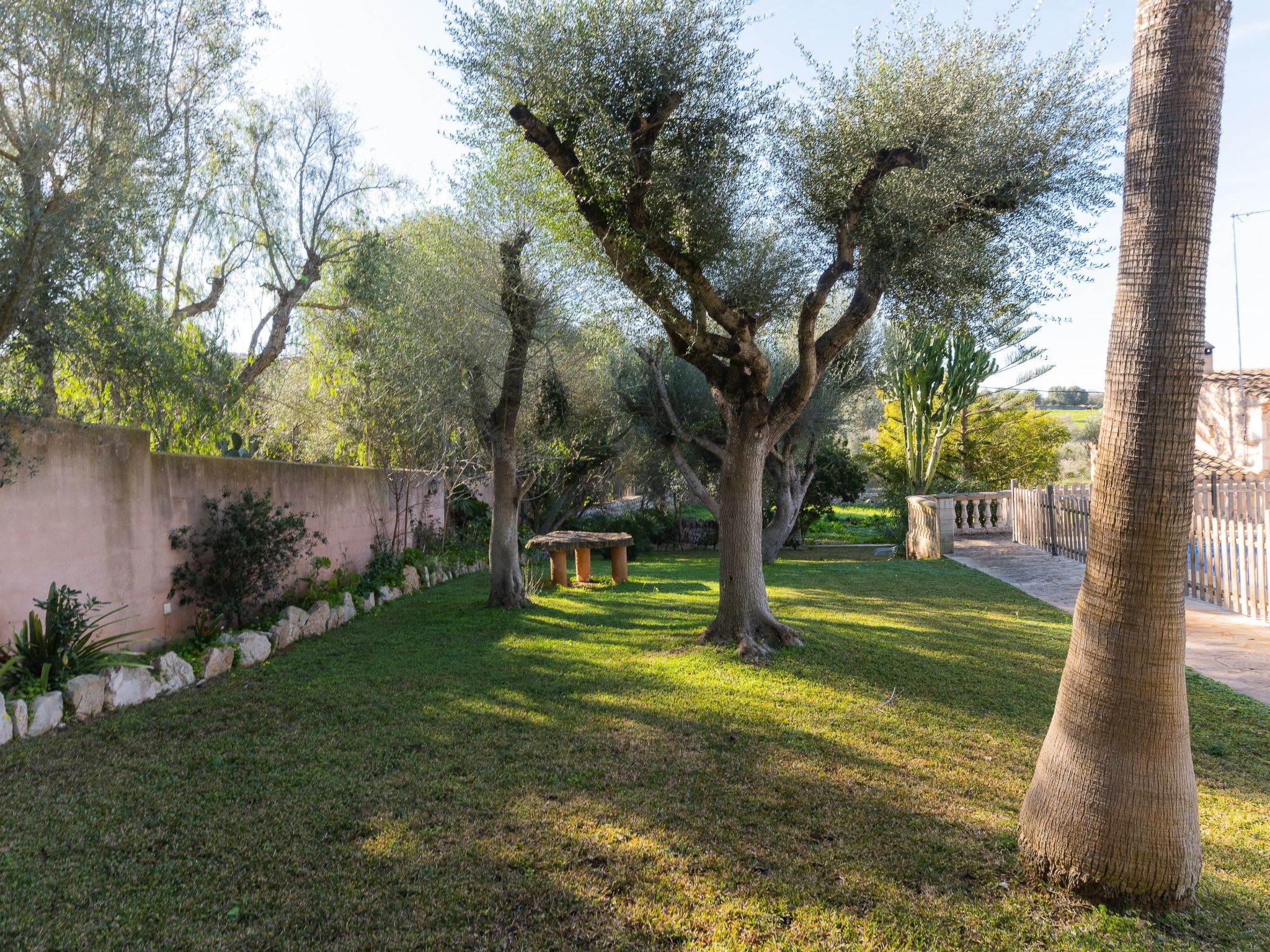 Cavea-Image-tags.info