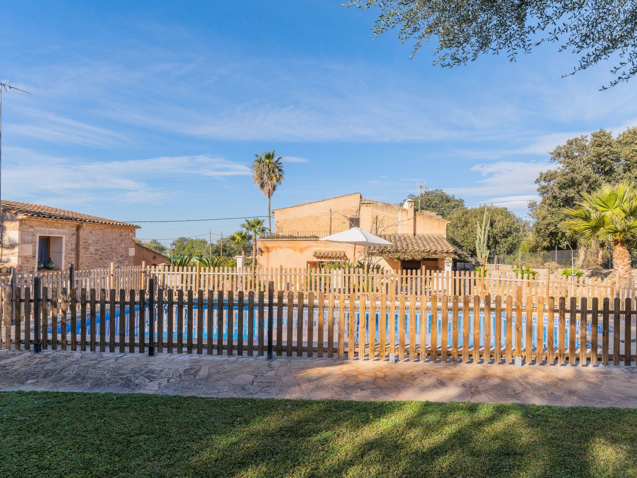 Cavea-Image-tags.info