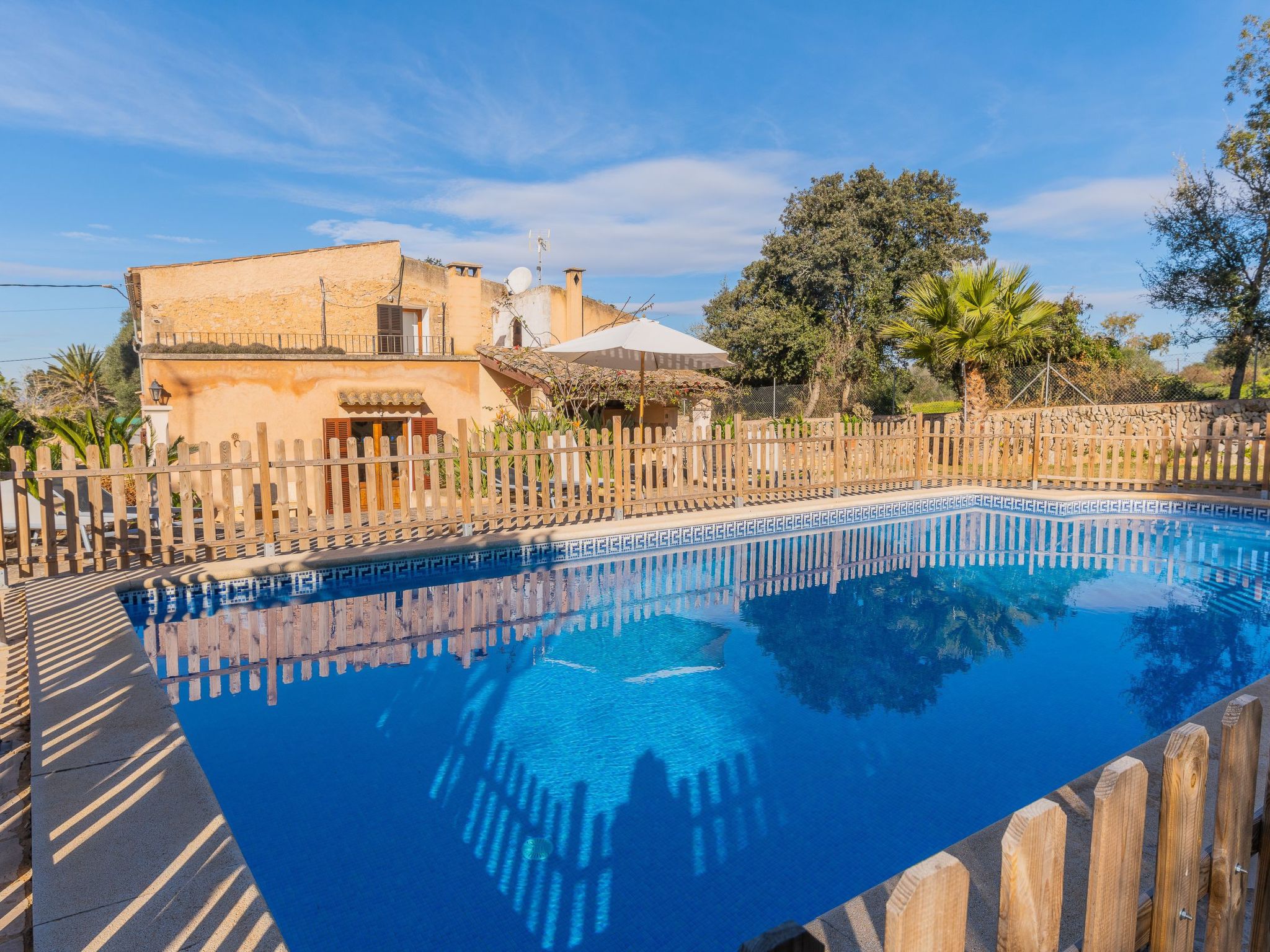 Cavea-Image-tags.info