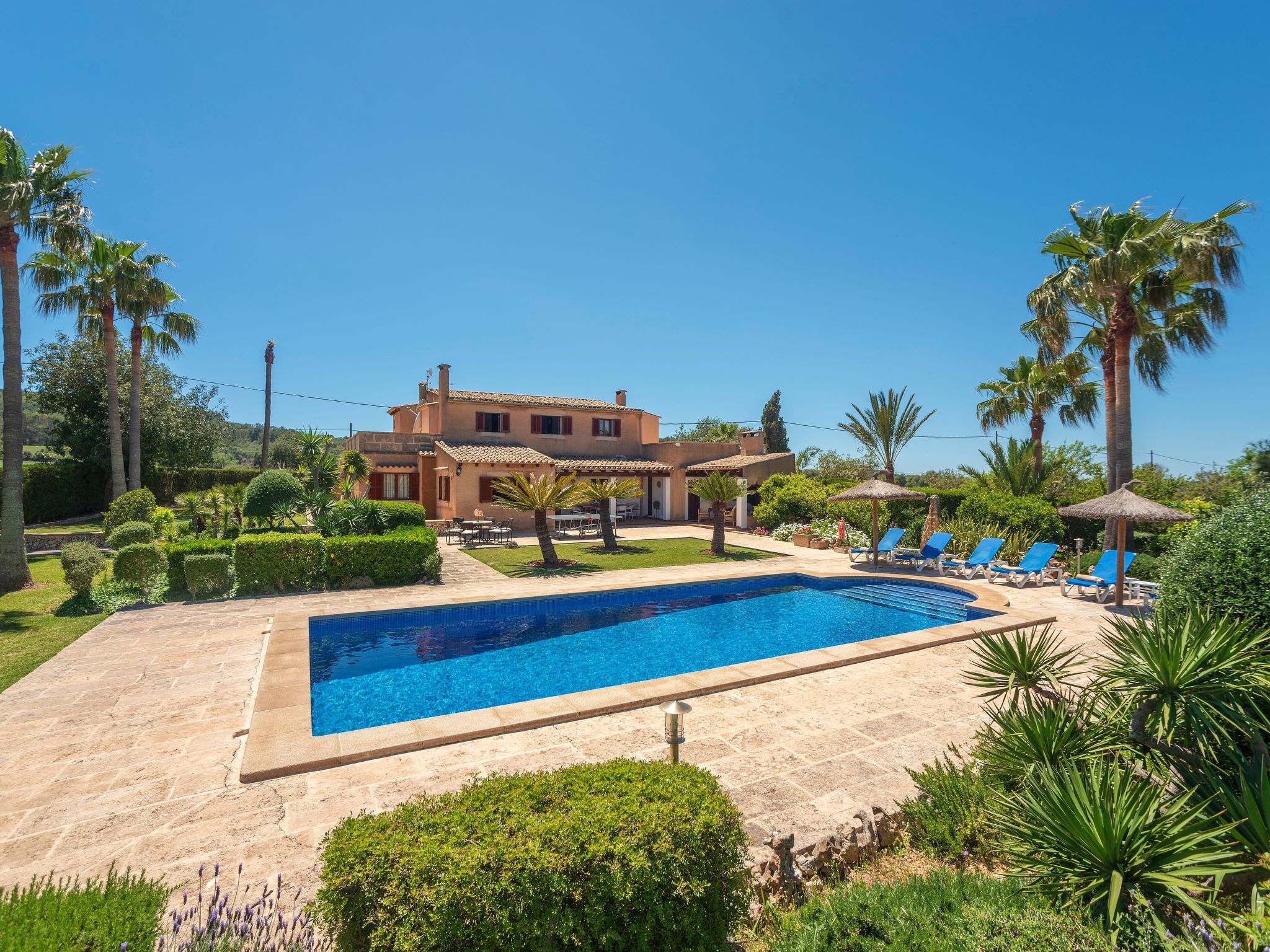 Teuler Petit-Image-tags.info