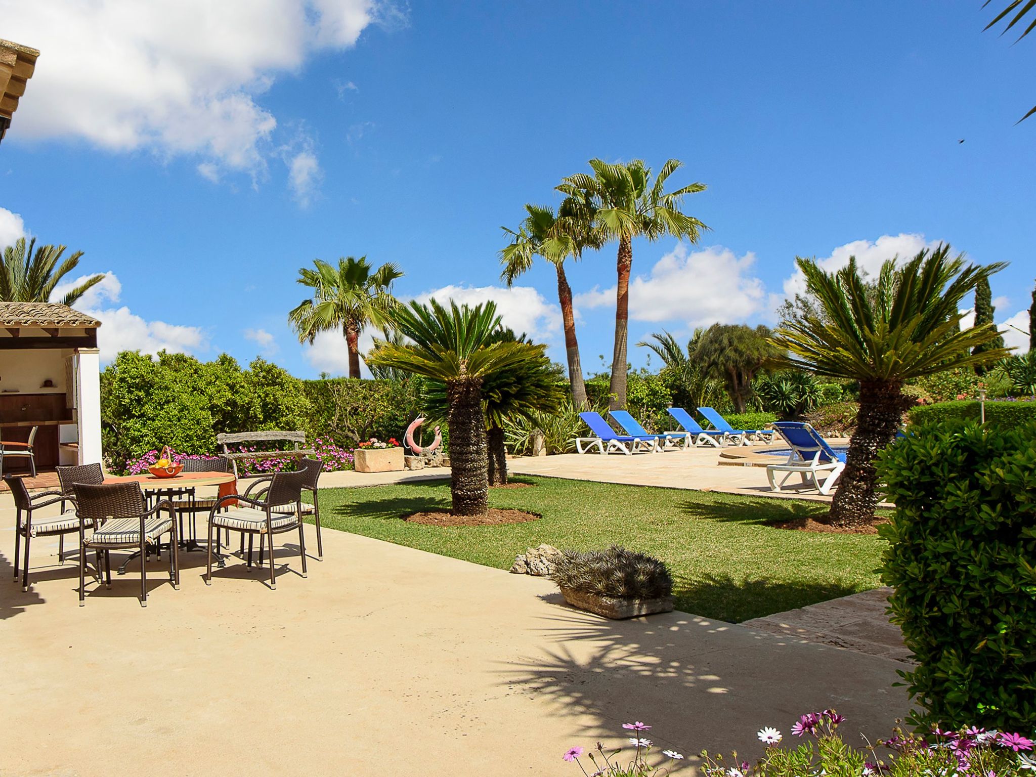 Teuler Petit-Image-tags.info