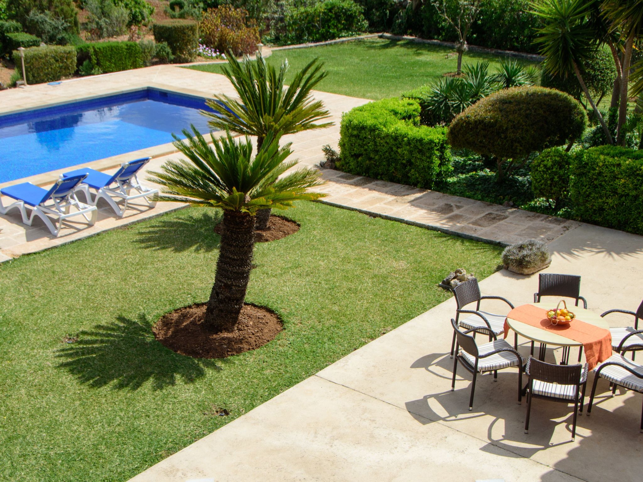 Teuler Petit-Image-tags.info