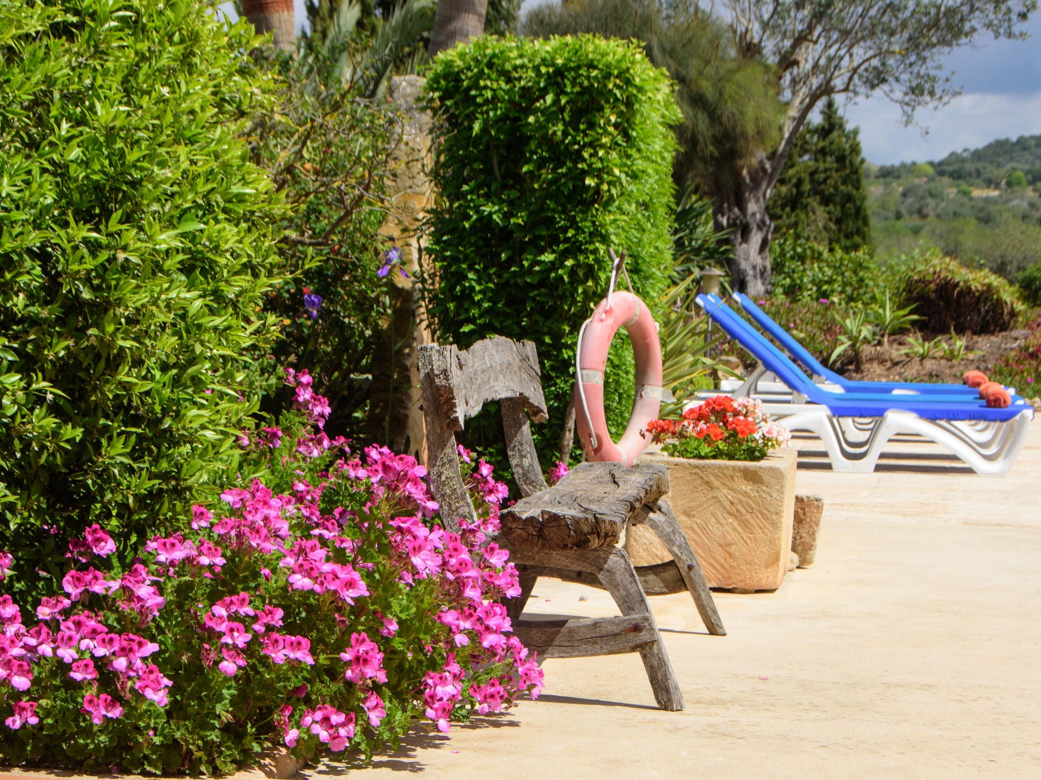 Teuler Petit-Image-tags.info