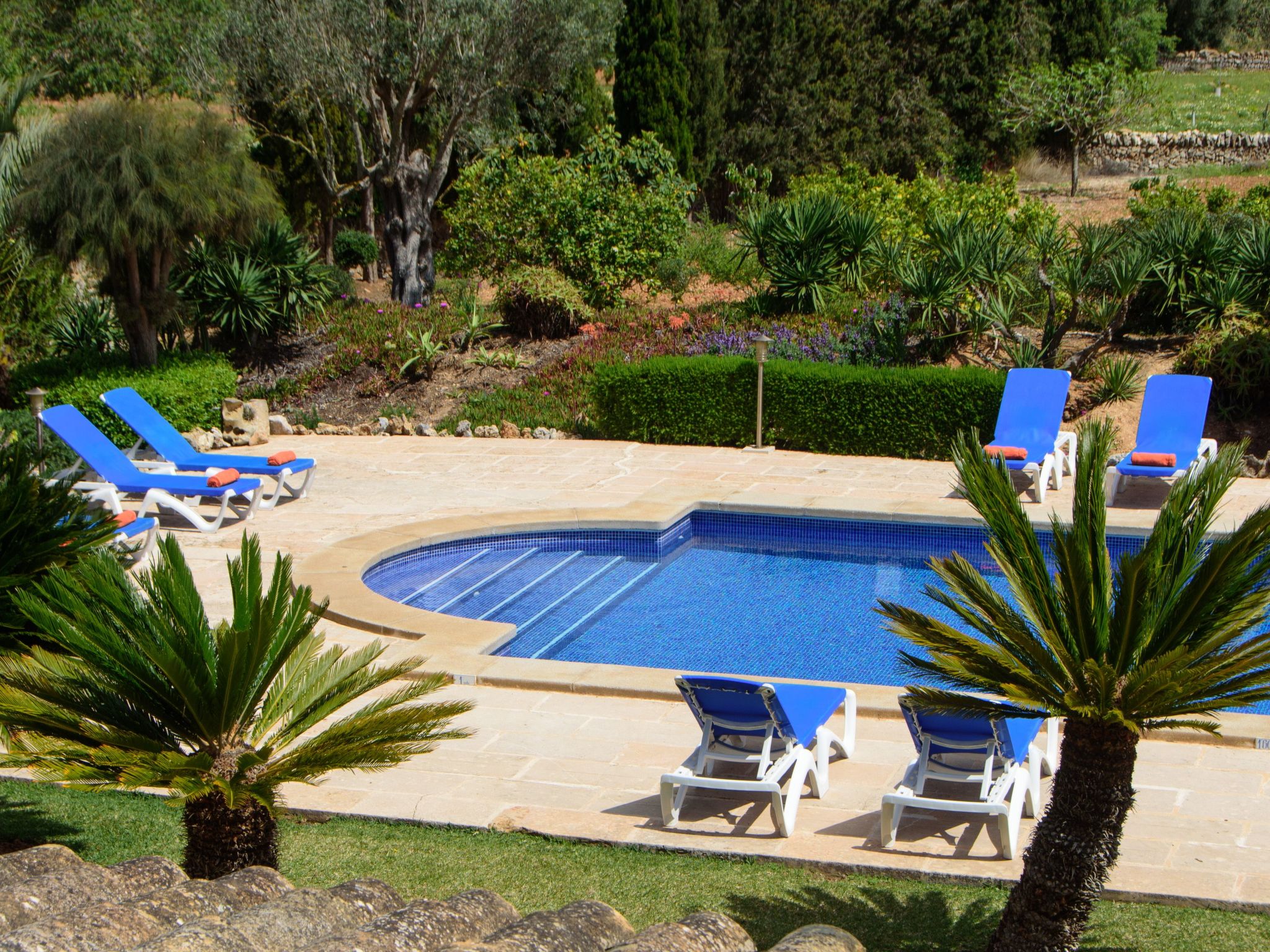 Teuler Petit-Image-tags.info