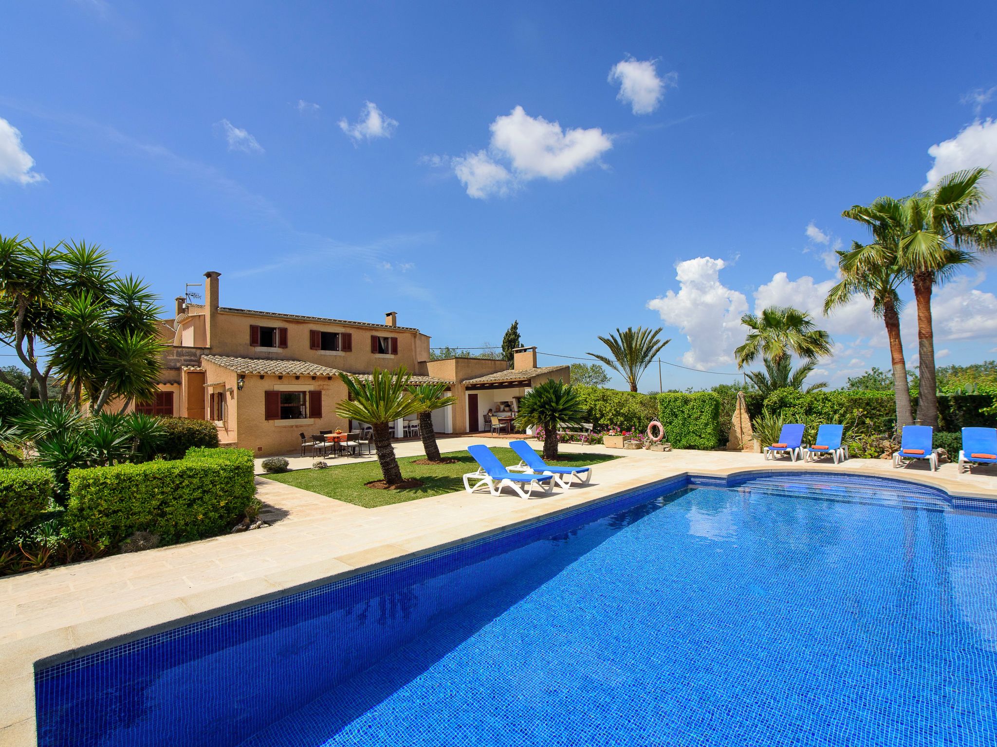 Teuler Petit-Image-tags.info