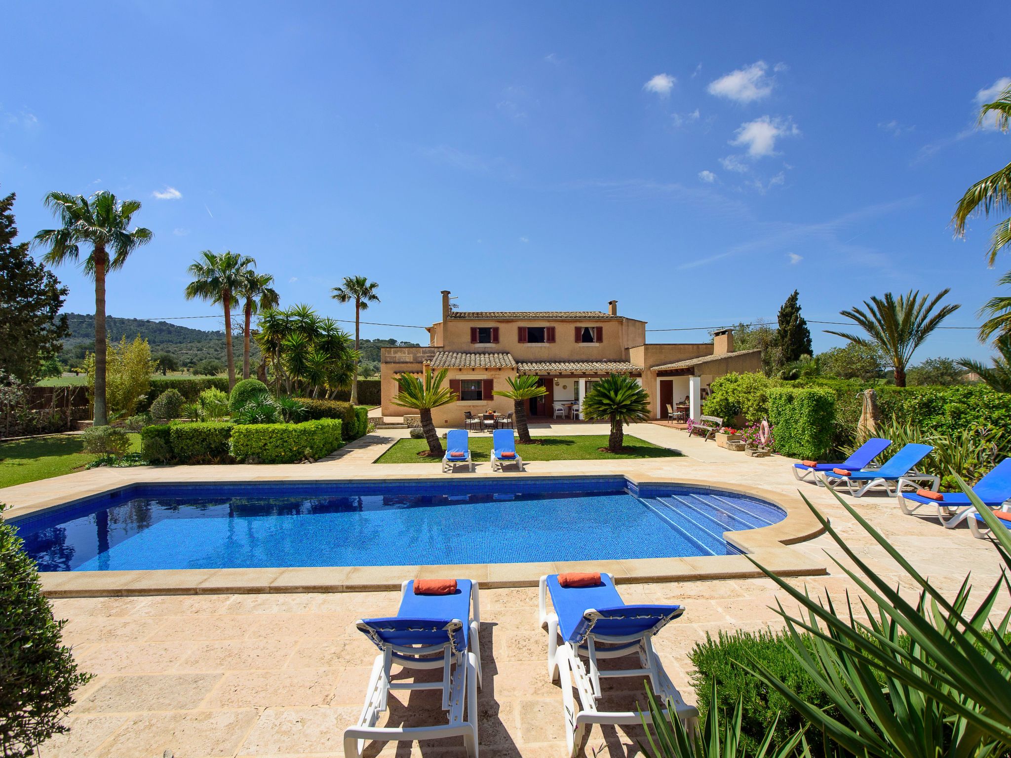 Teuler Petit-Image-tags.info