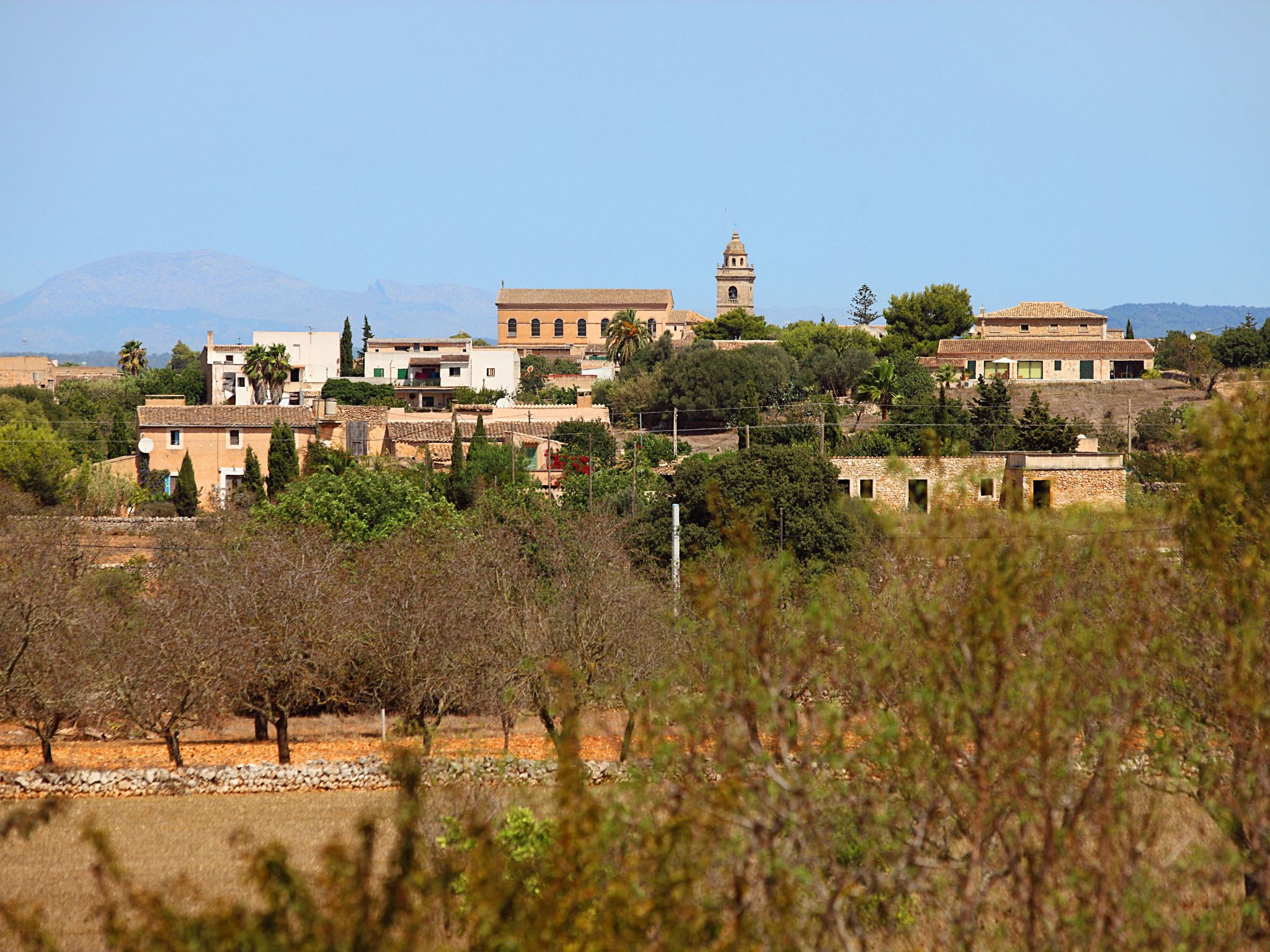 Teuler Petit-Image-tags.info