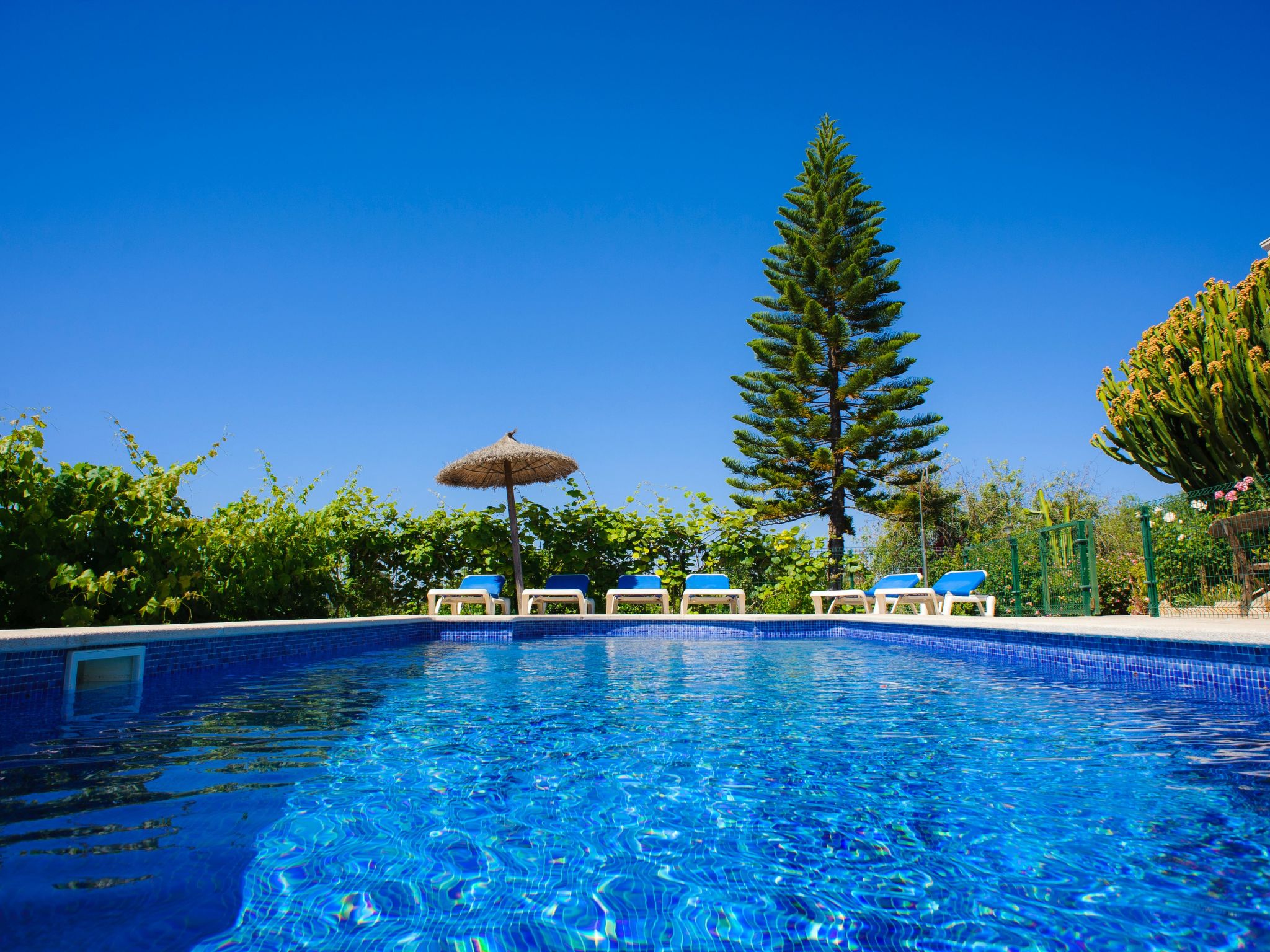 Finca für 9 Personen,  Cas Concos des Cavaller-Image-tags.info