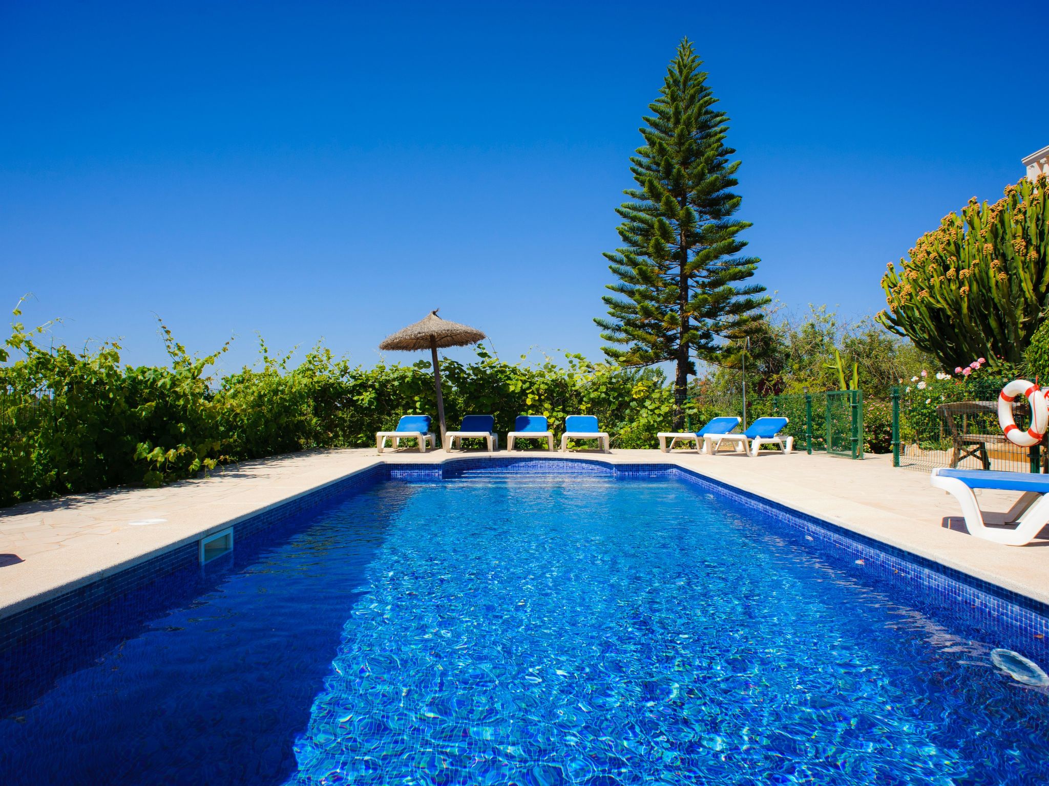 Finca für 9 Personen,  Cas Concos des Cavaller-Image-tags.info