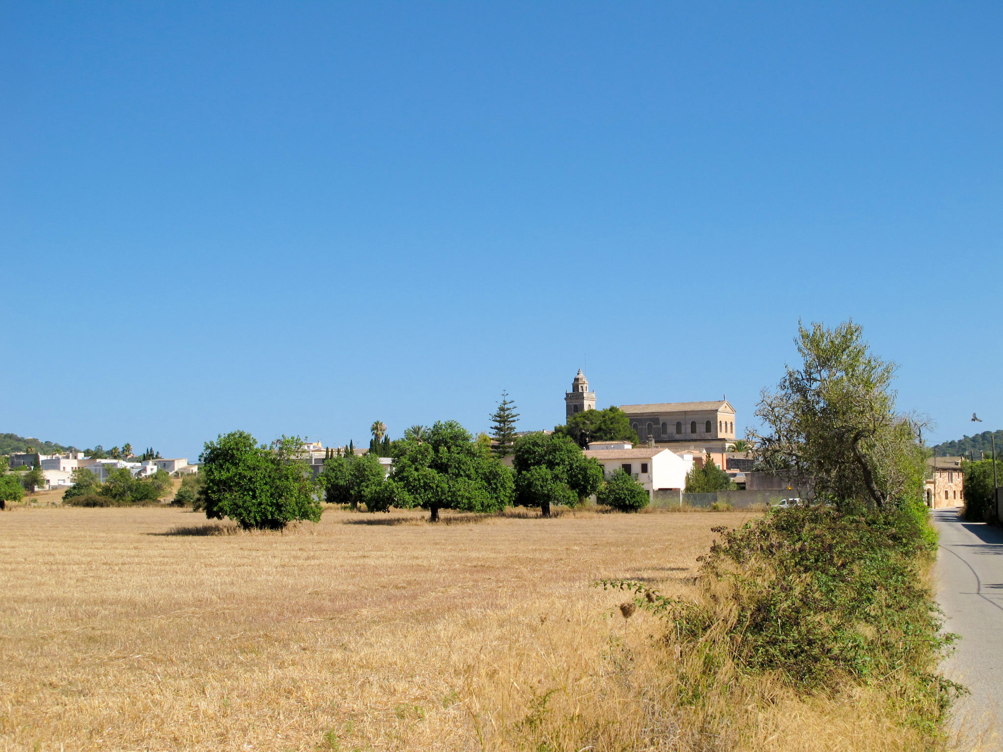 Finca für 9 Personen,  Cas Concos des Cavaller-Omgeving