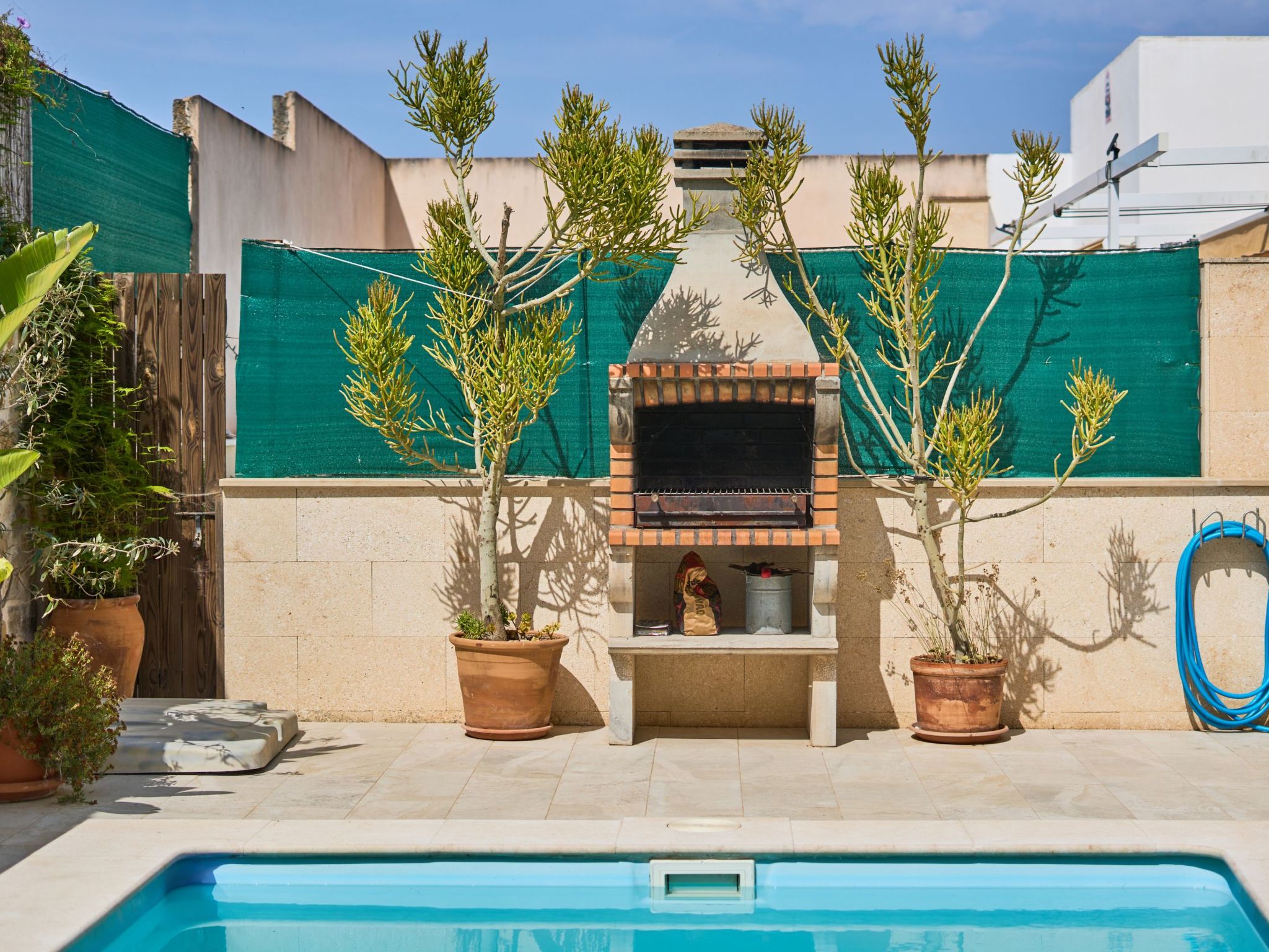 Peral Cas Concos-Image-tags.info