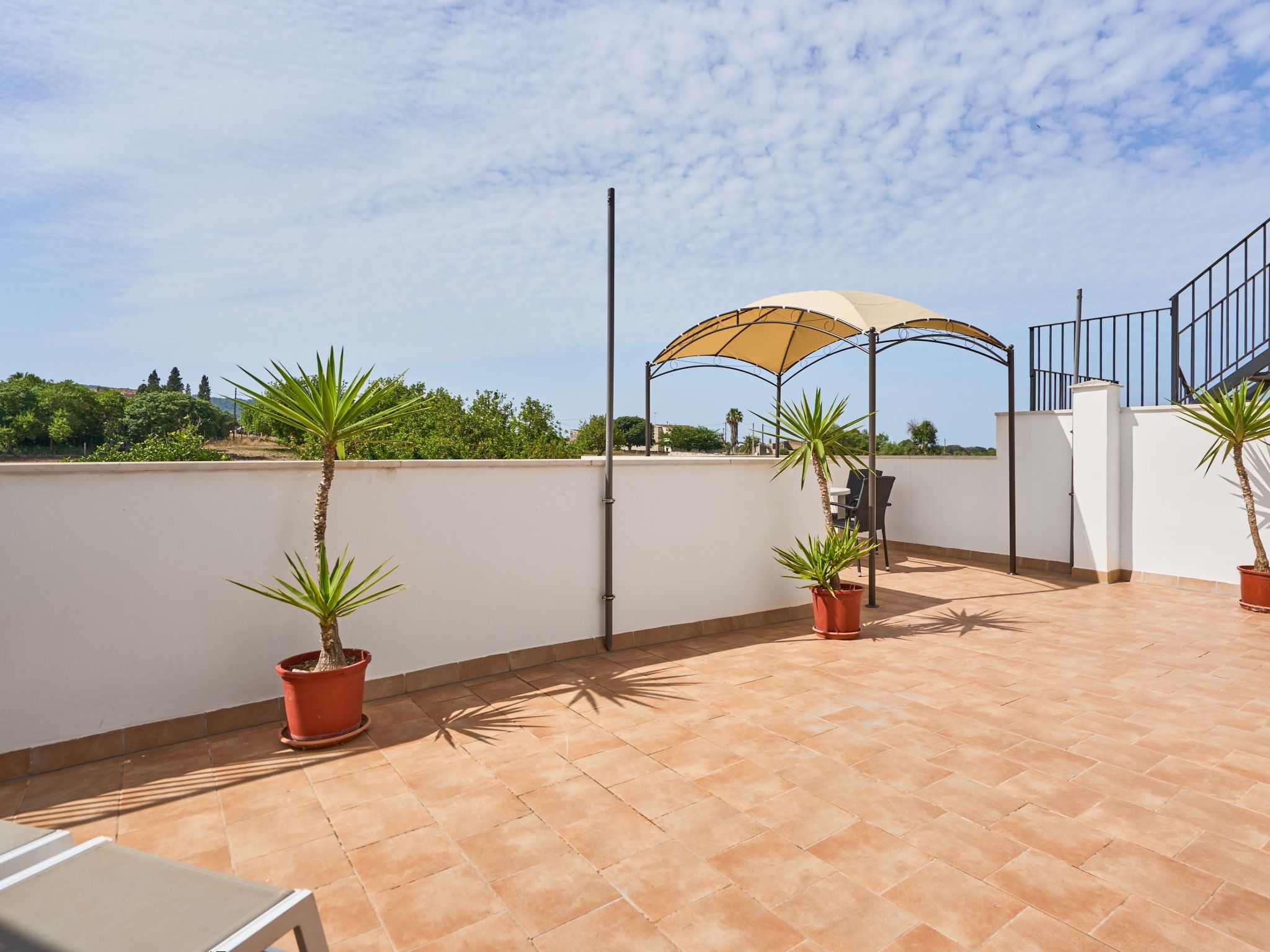 Peral Cas Concos-Image-tags.info