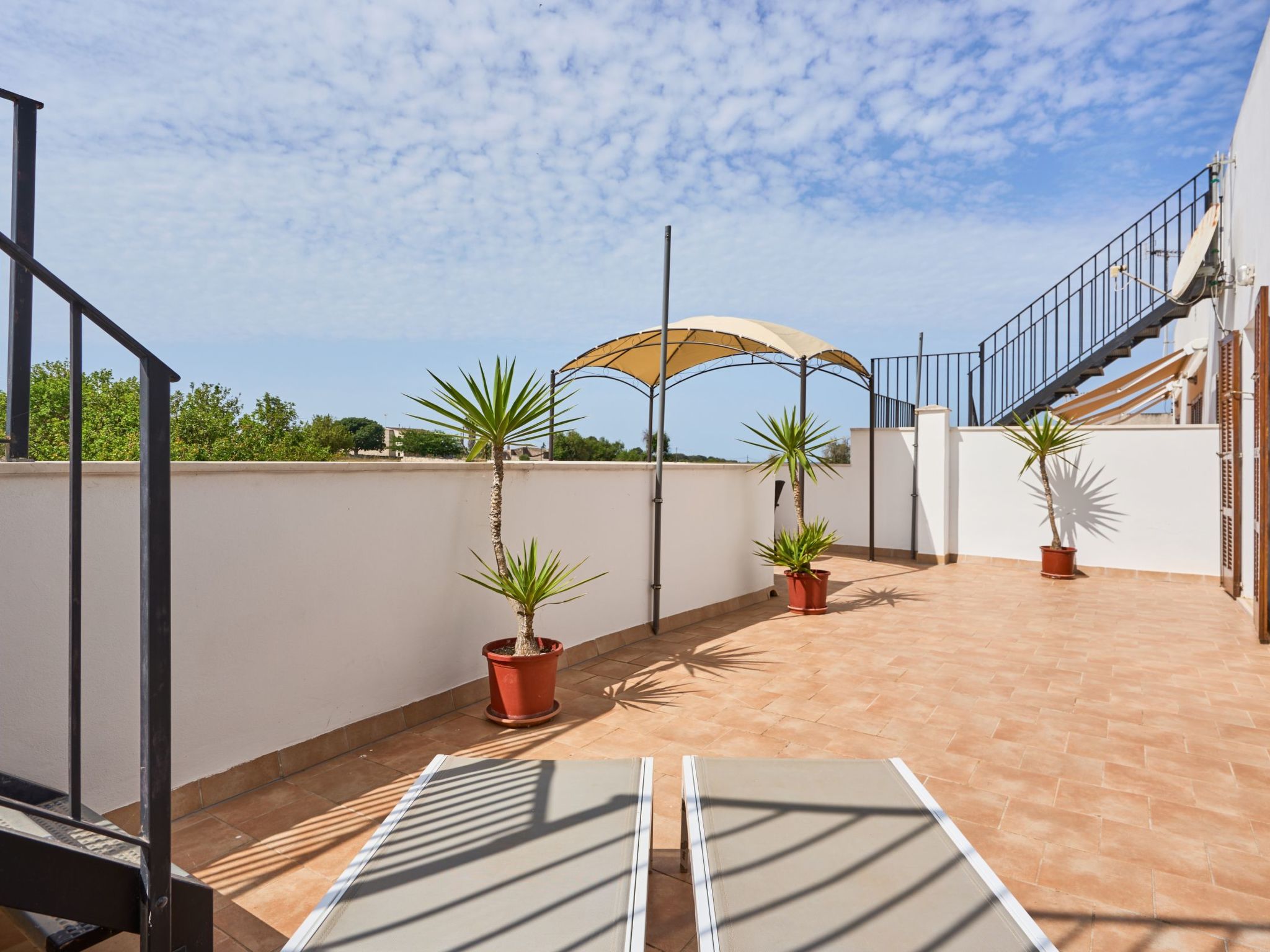 Peral Cas Concos-Image-tags.info