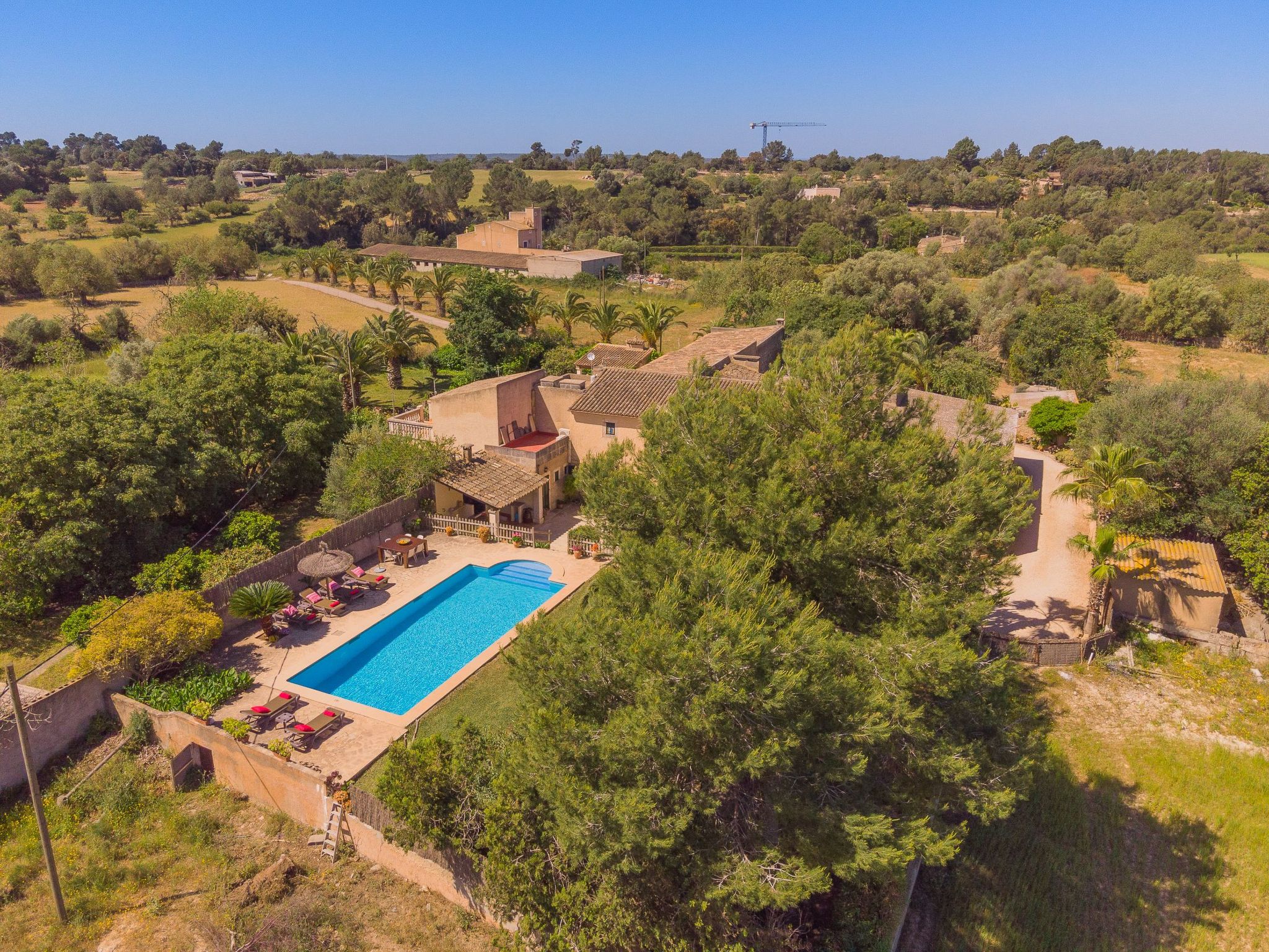 Margarita Cas Concos-Image-tags.info