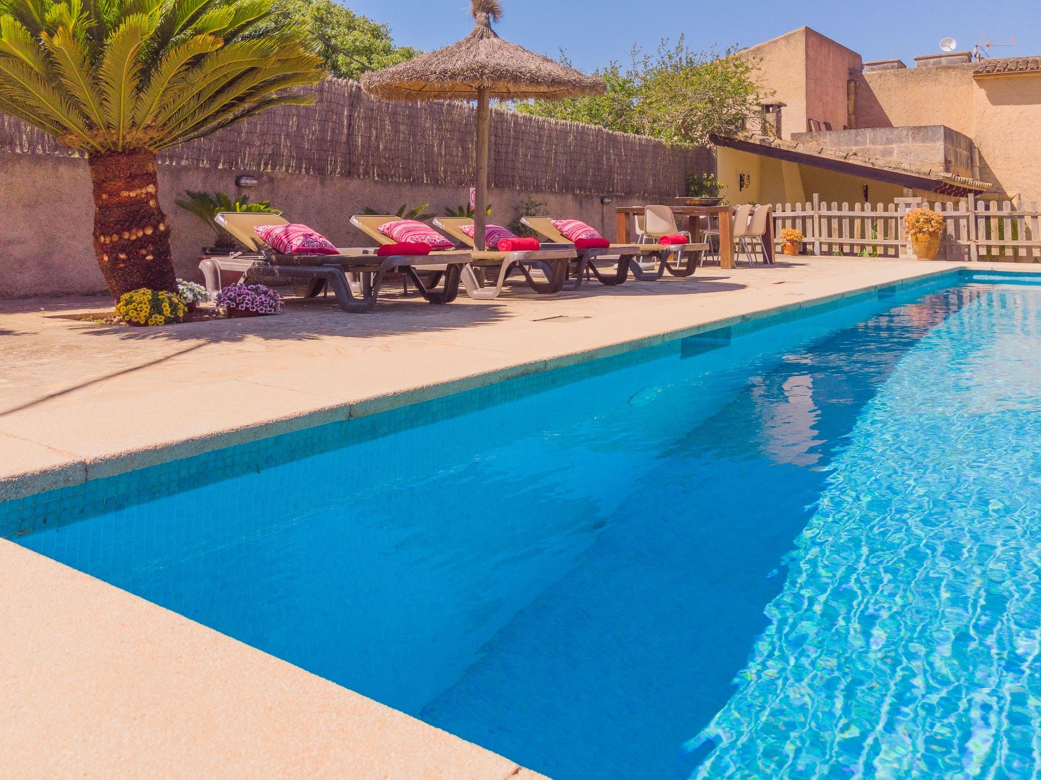 Margarita Cas Concos-Image-tags.info