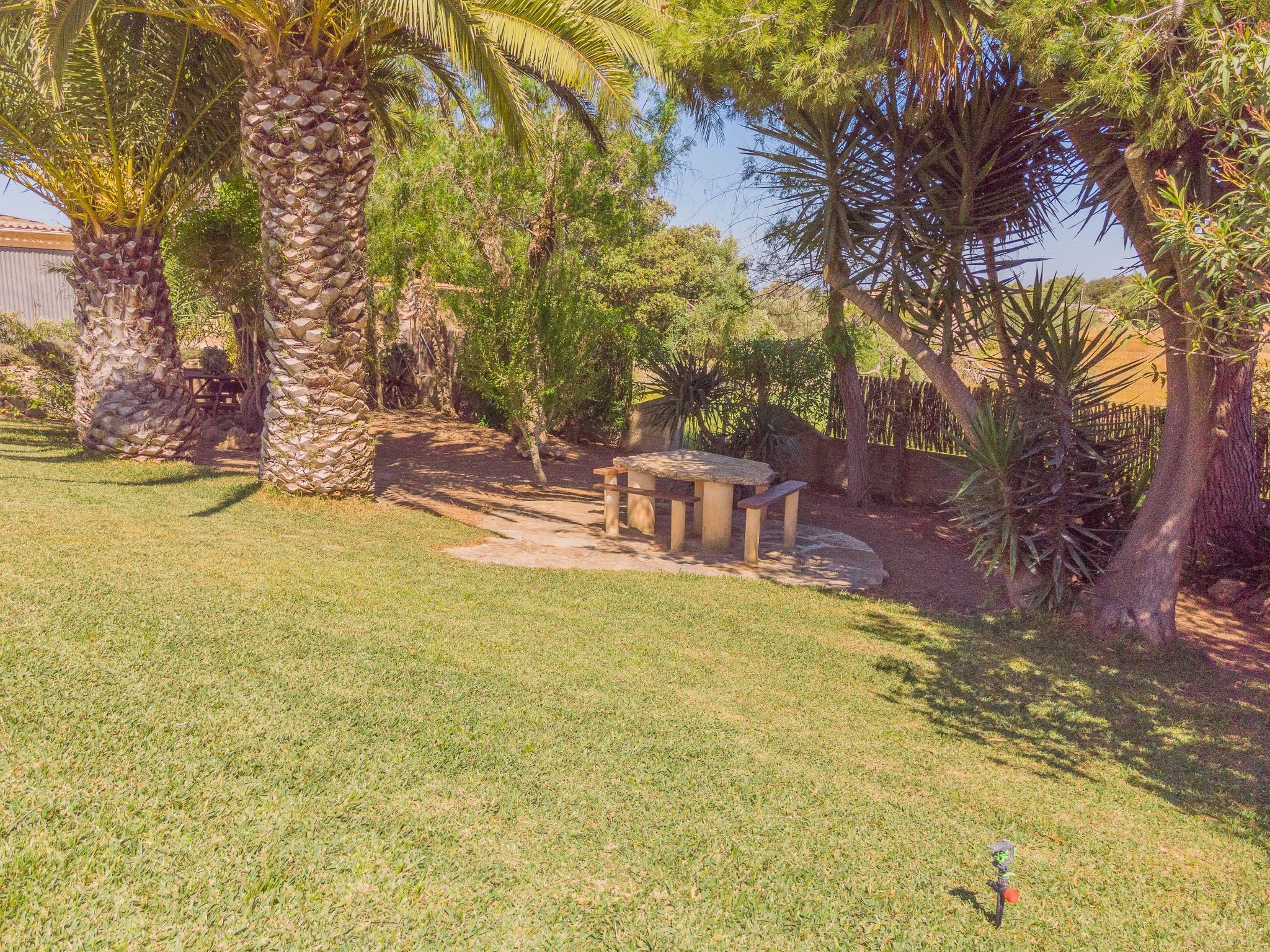 Margarita Cas Concos-Image-tags.info