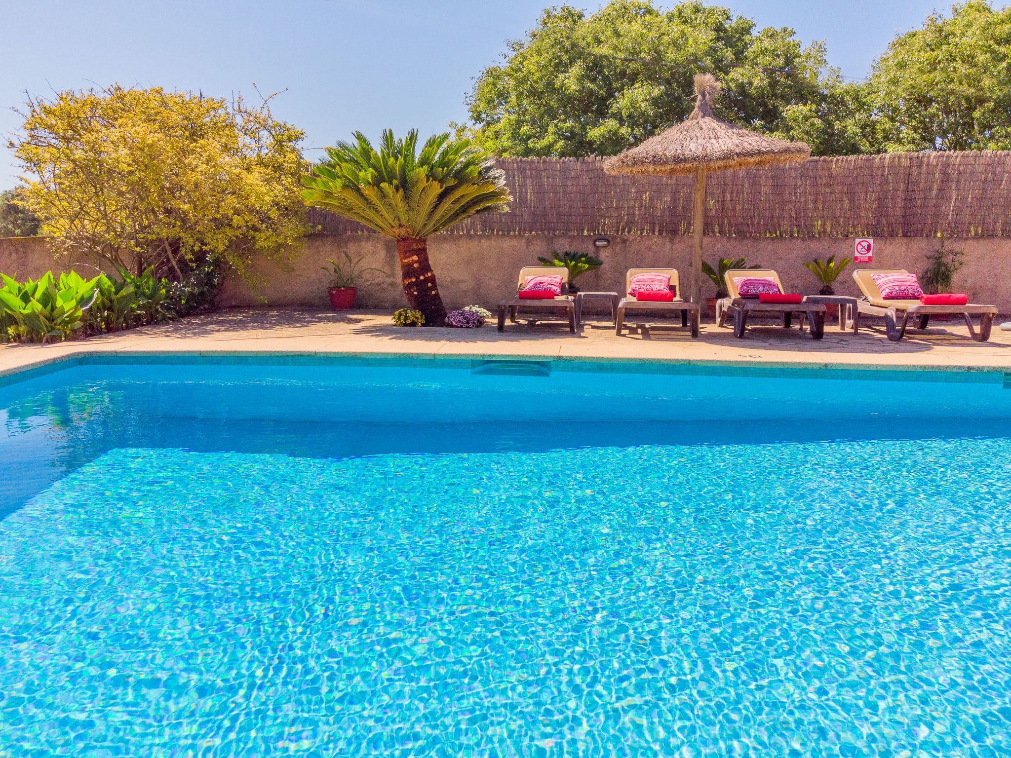 Margarita Cas Concos-Image-tags.info