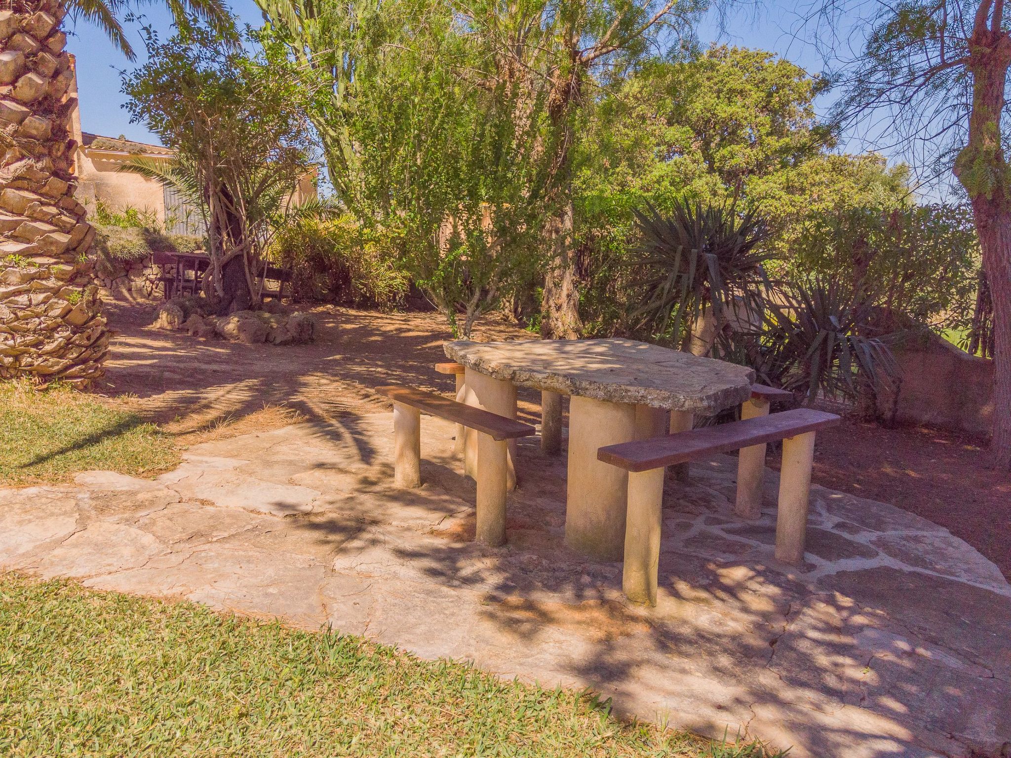 Margarita Cas Concos-Image-tags.info