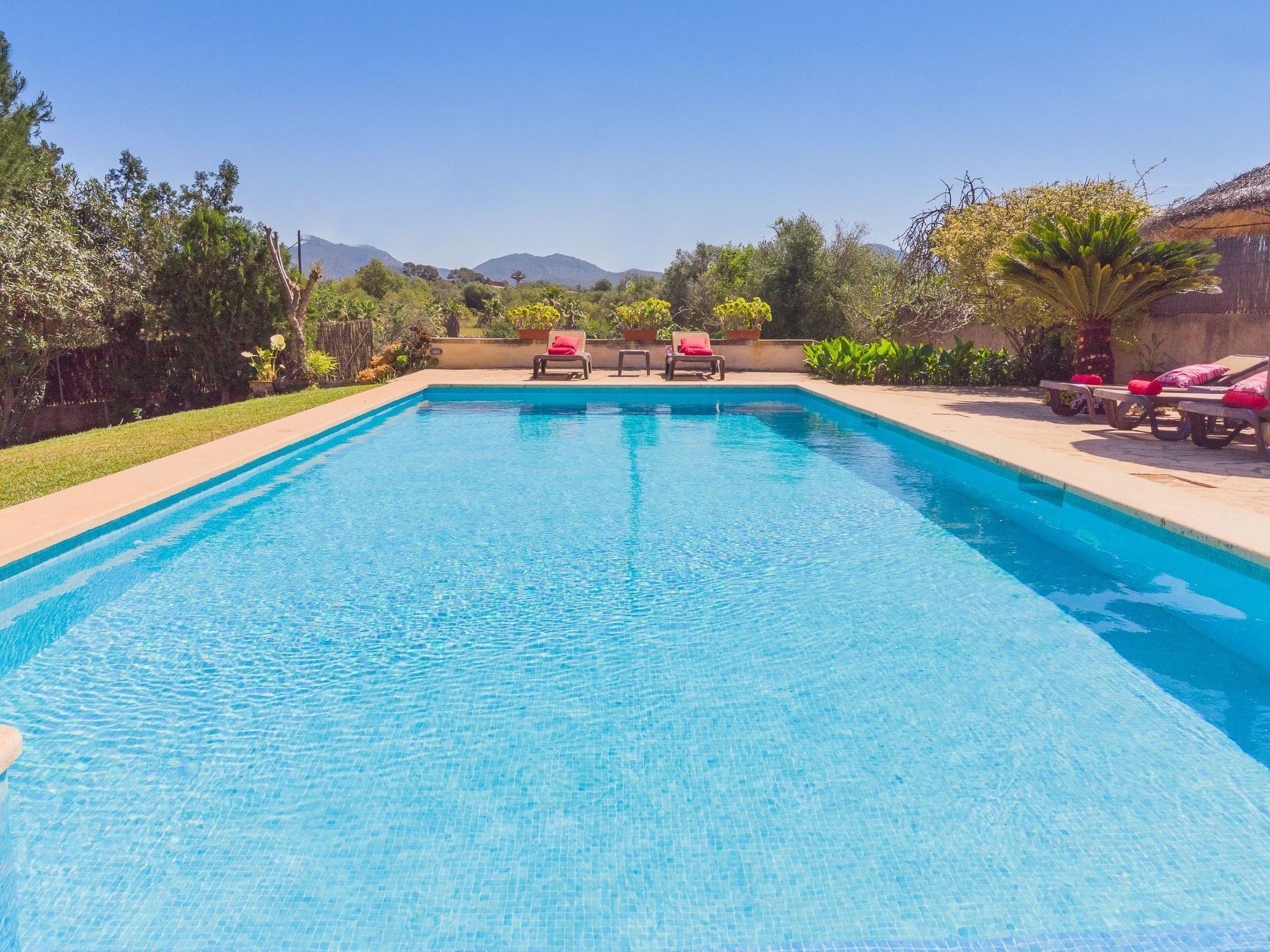 Margarita Cas Concos-Image-tags.info