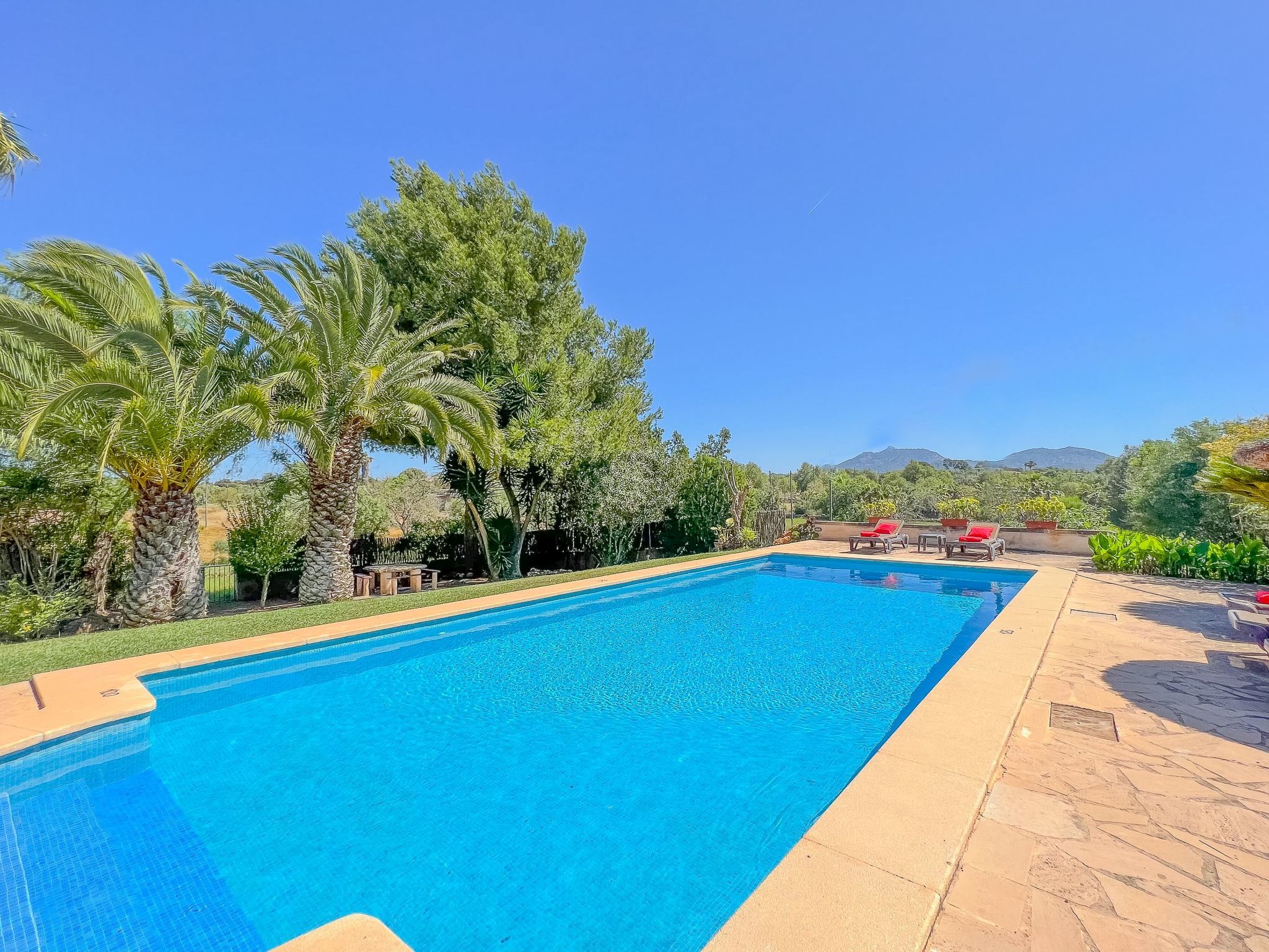 Margarita Cas Concos-Image-tags.info