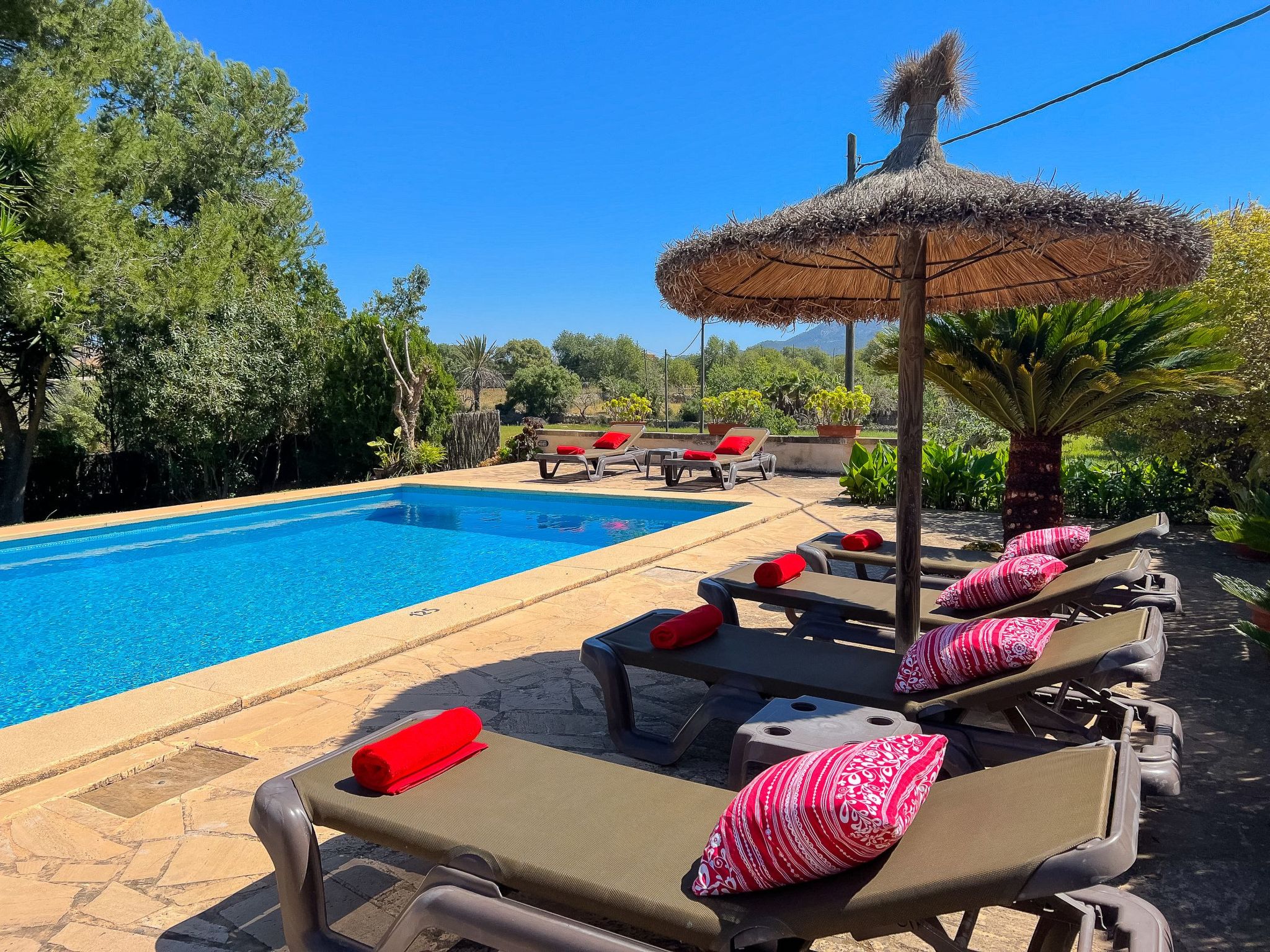 Margarita Cas Concos-Image-tags.info