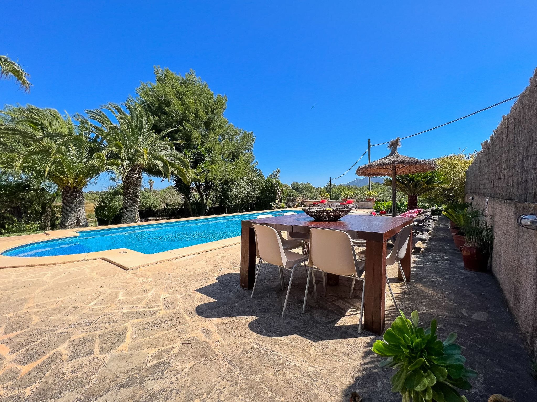 Margarita Cas Concos-Image-tags.info