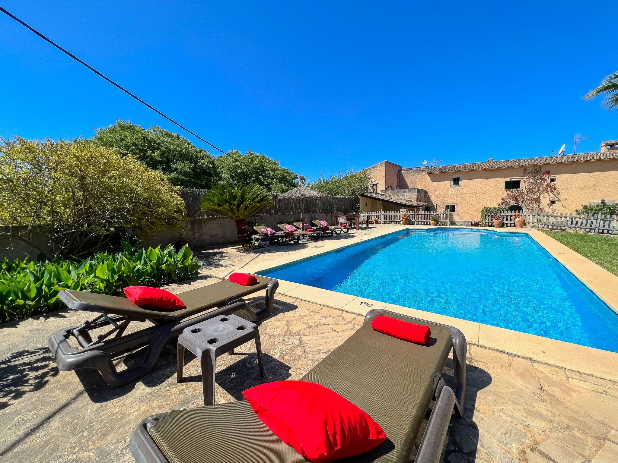 Margarita Cas Concos-Image-tags.info