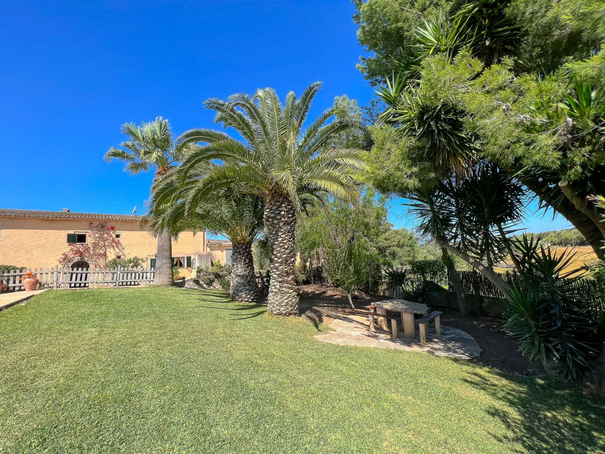 Margarita Cas Concos-Image-tags.info