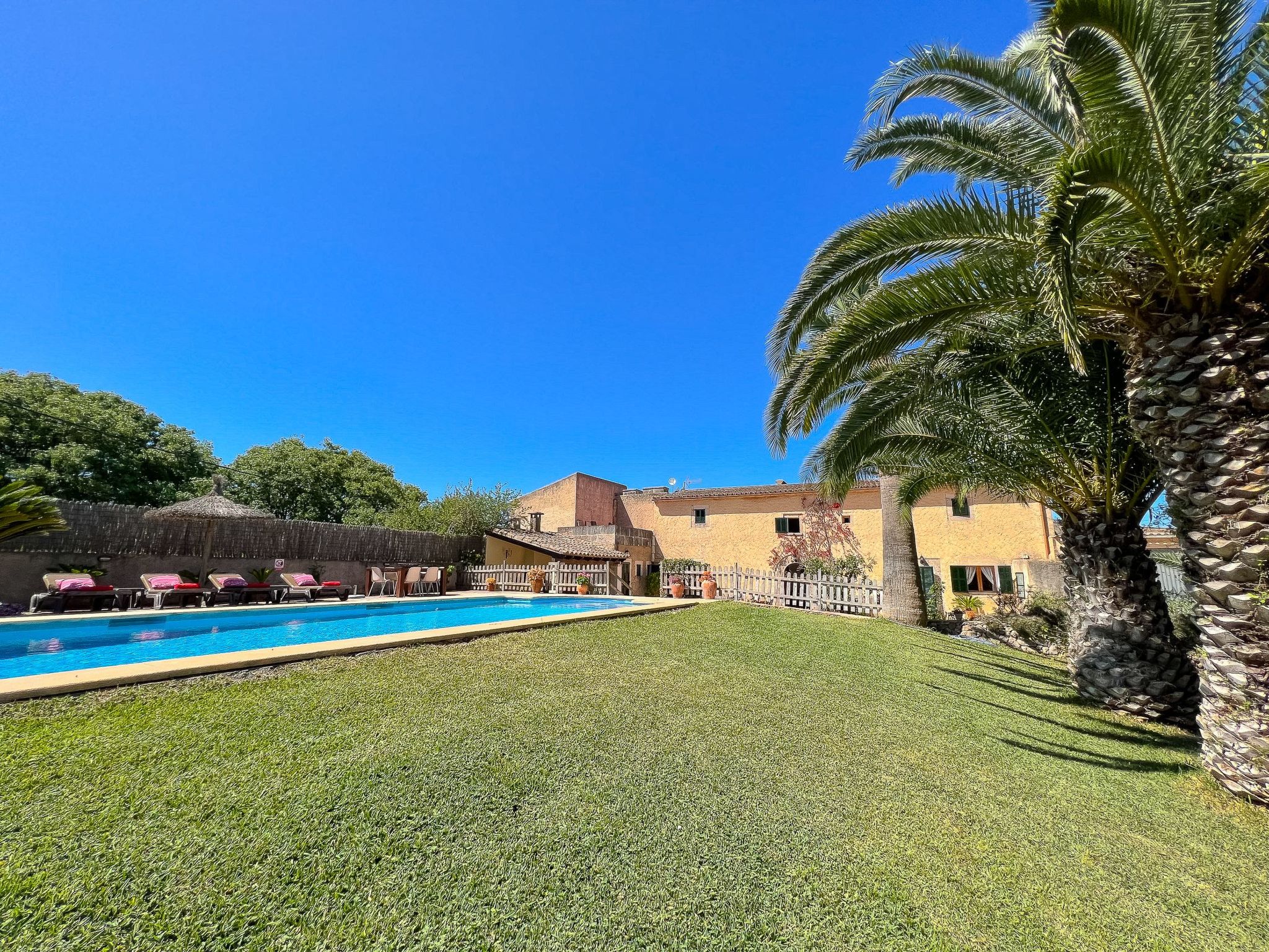 Margarita Cas Concos-Image-tags.info