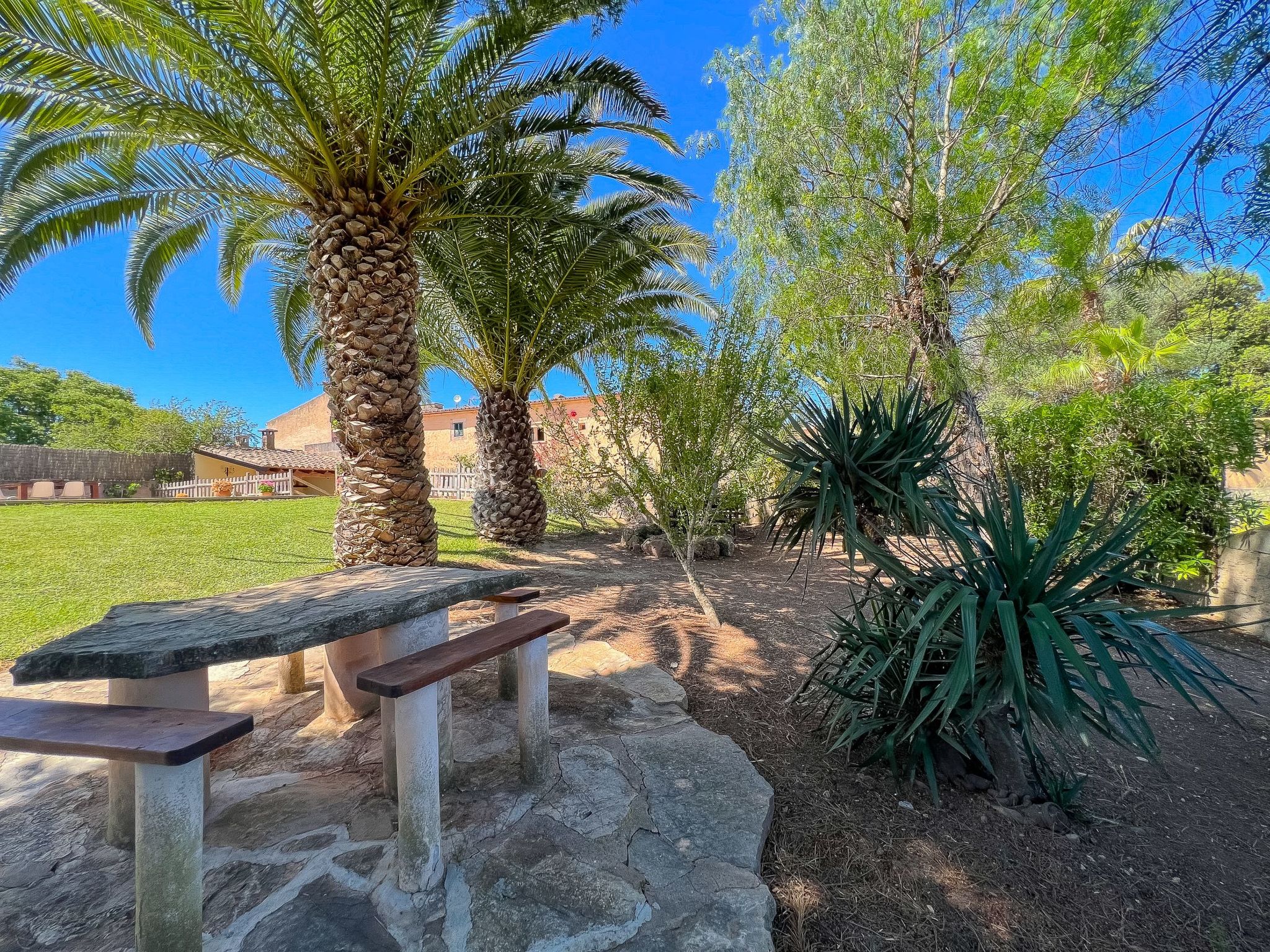 Margarita Cas Concos-Image-tags.info