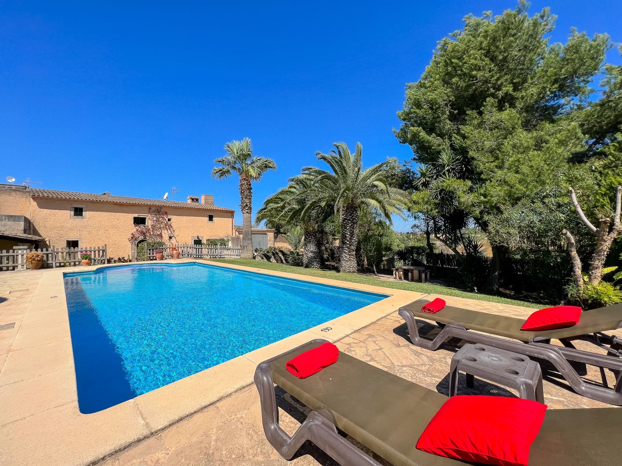 Margarita Cas Concos-Image-tags.info