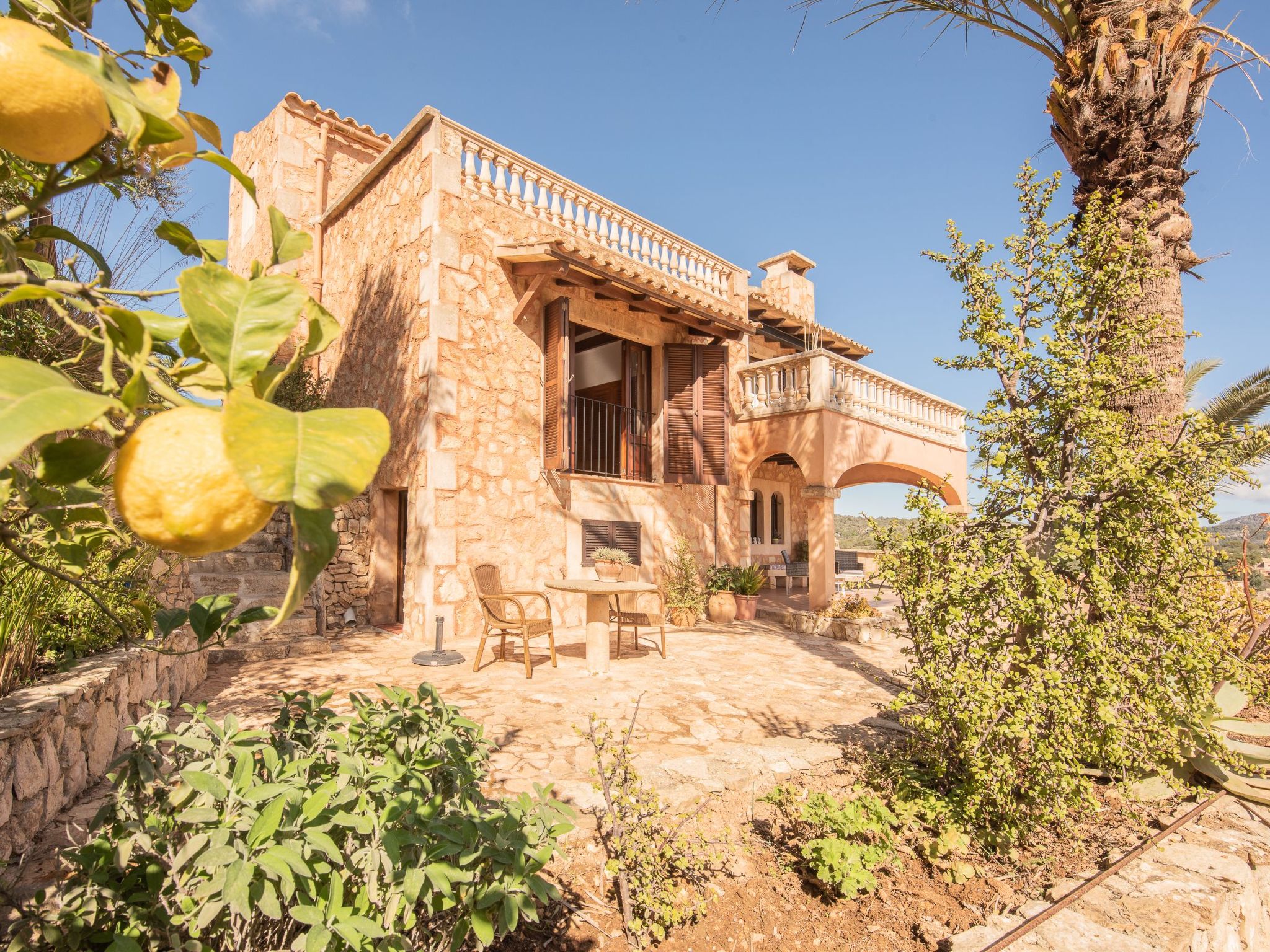 Roca-Image-tags.info