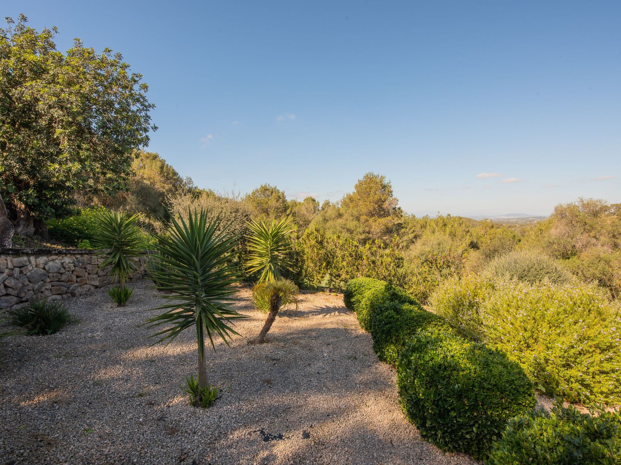 Roca-Image-tags.info