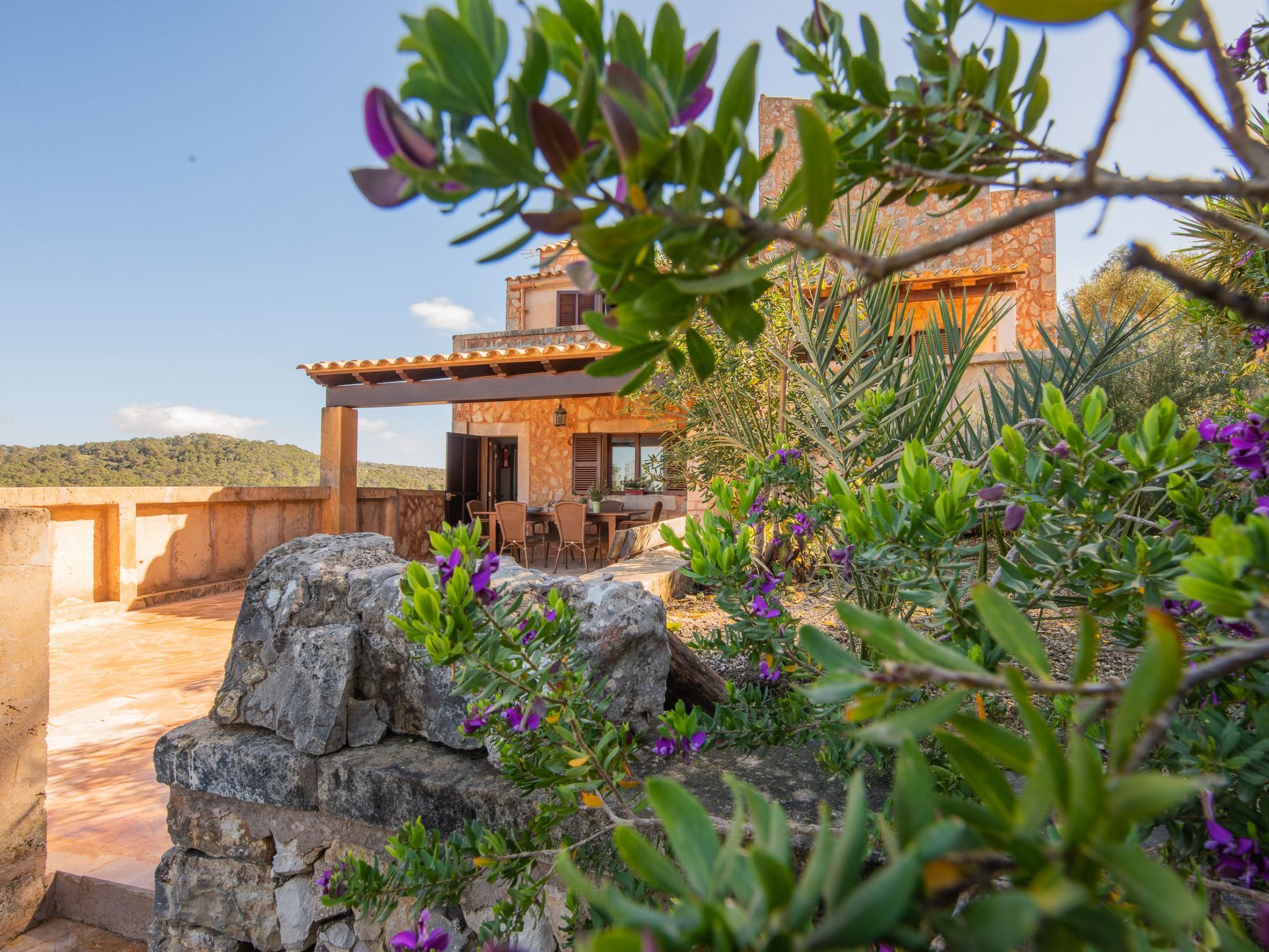 Roca-Image-tags.info