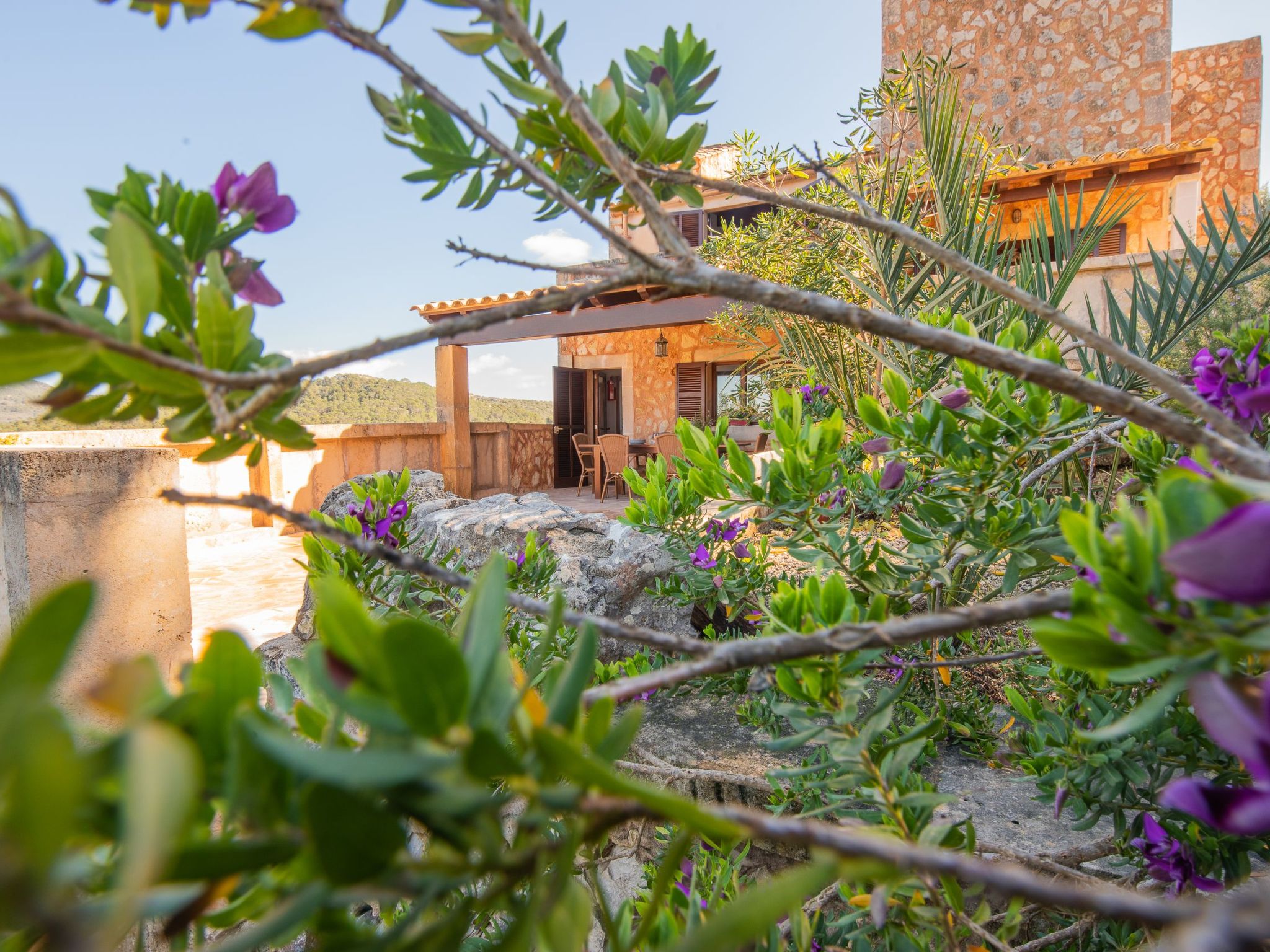 Roca-Image-tags.info