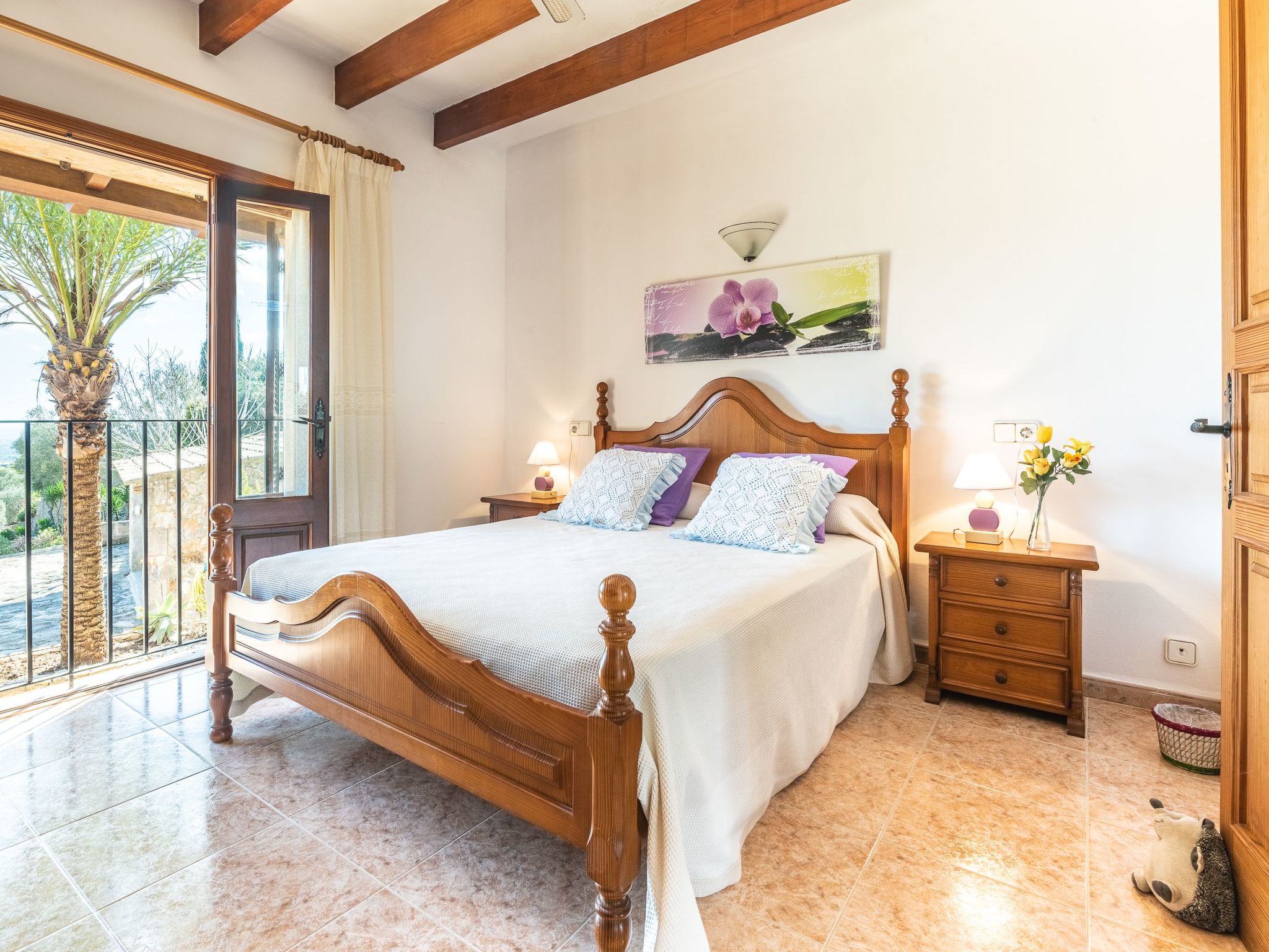 Roca-Image-tags.info