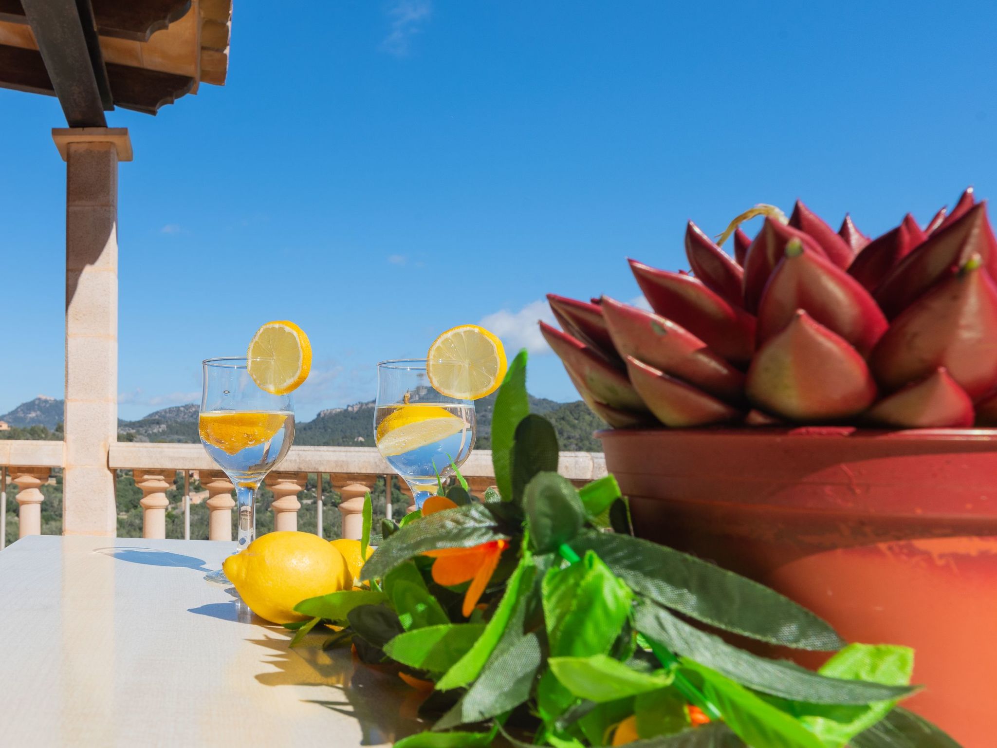 Roca-Image-tags.info