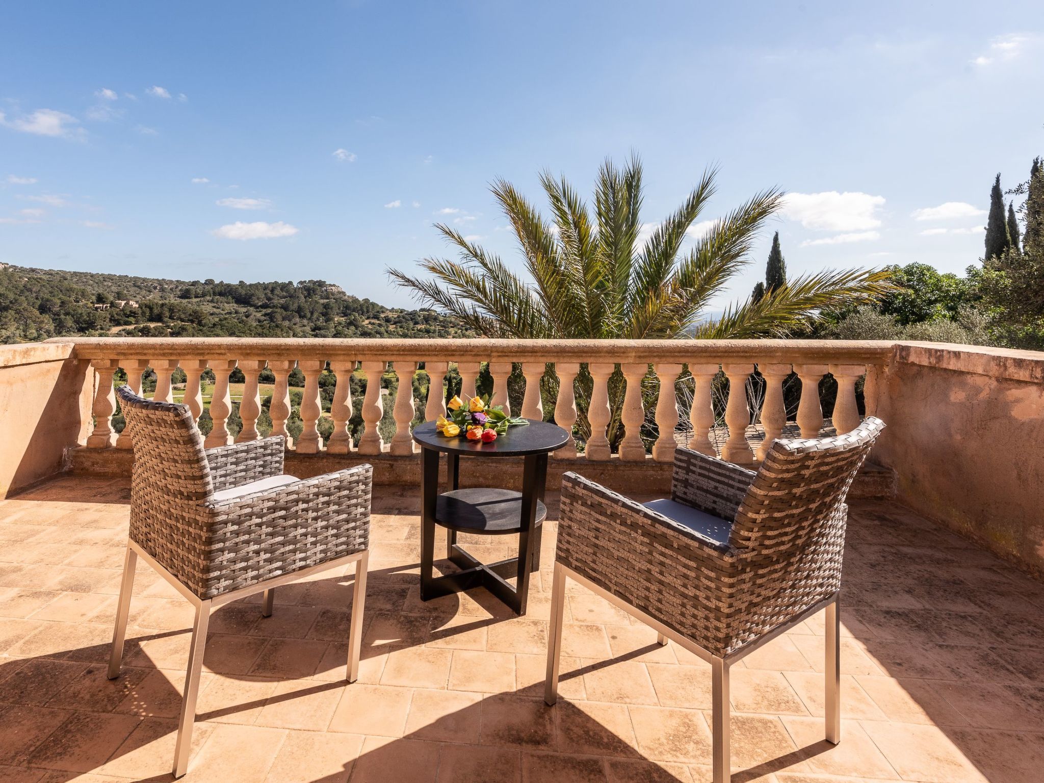 Roca-Image-tags.info