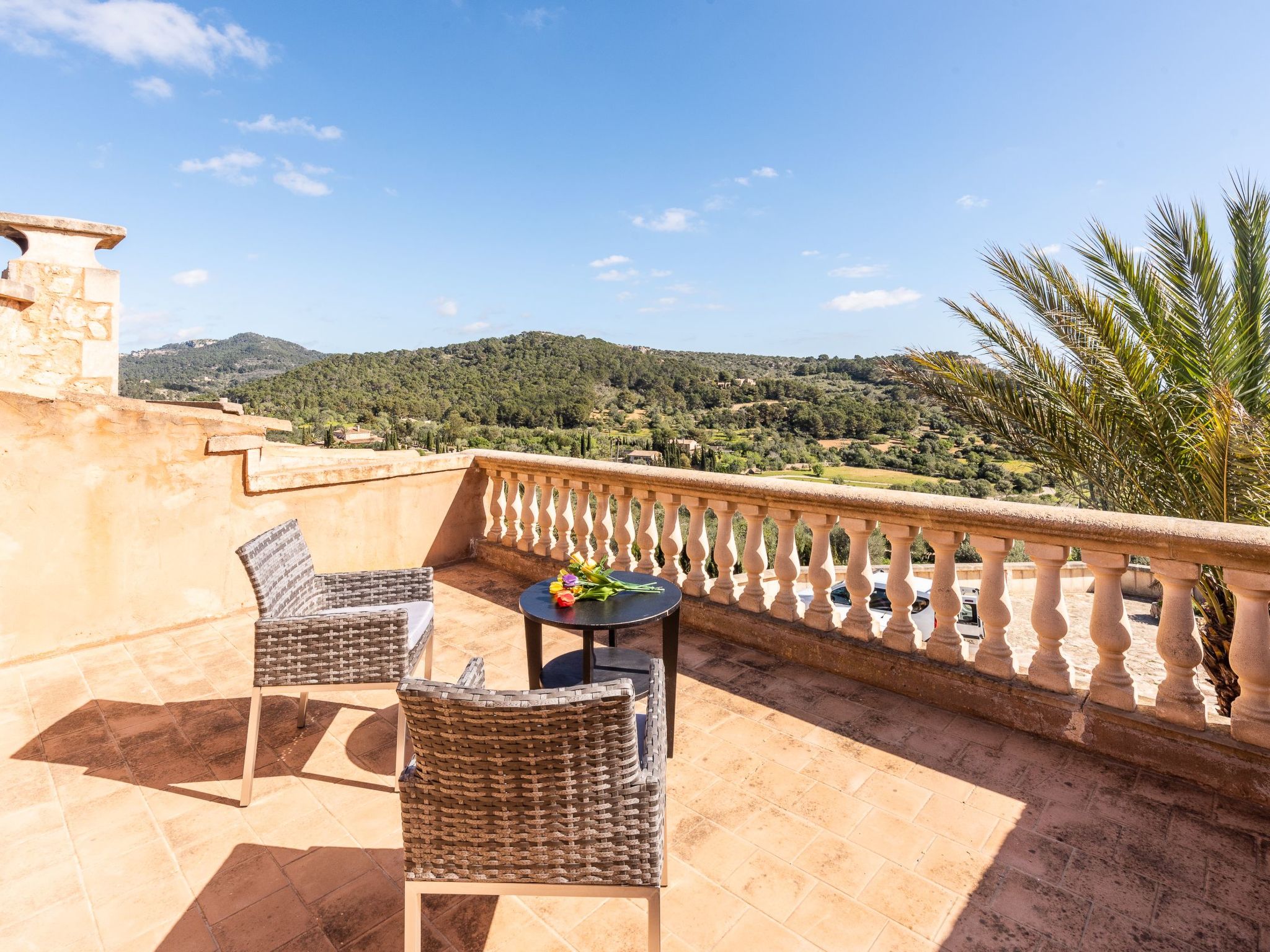 Roca-Image-tags.info