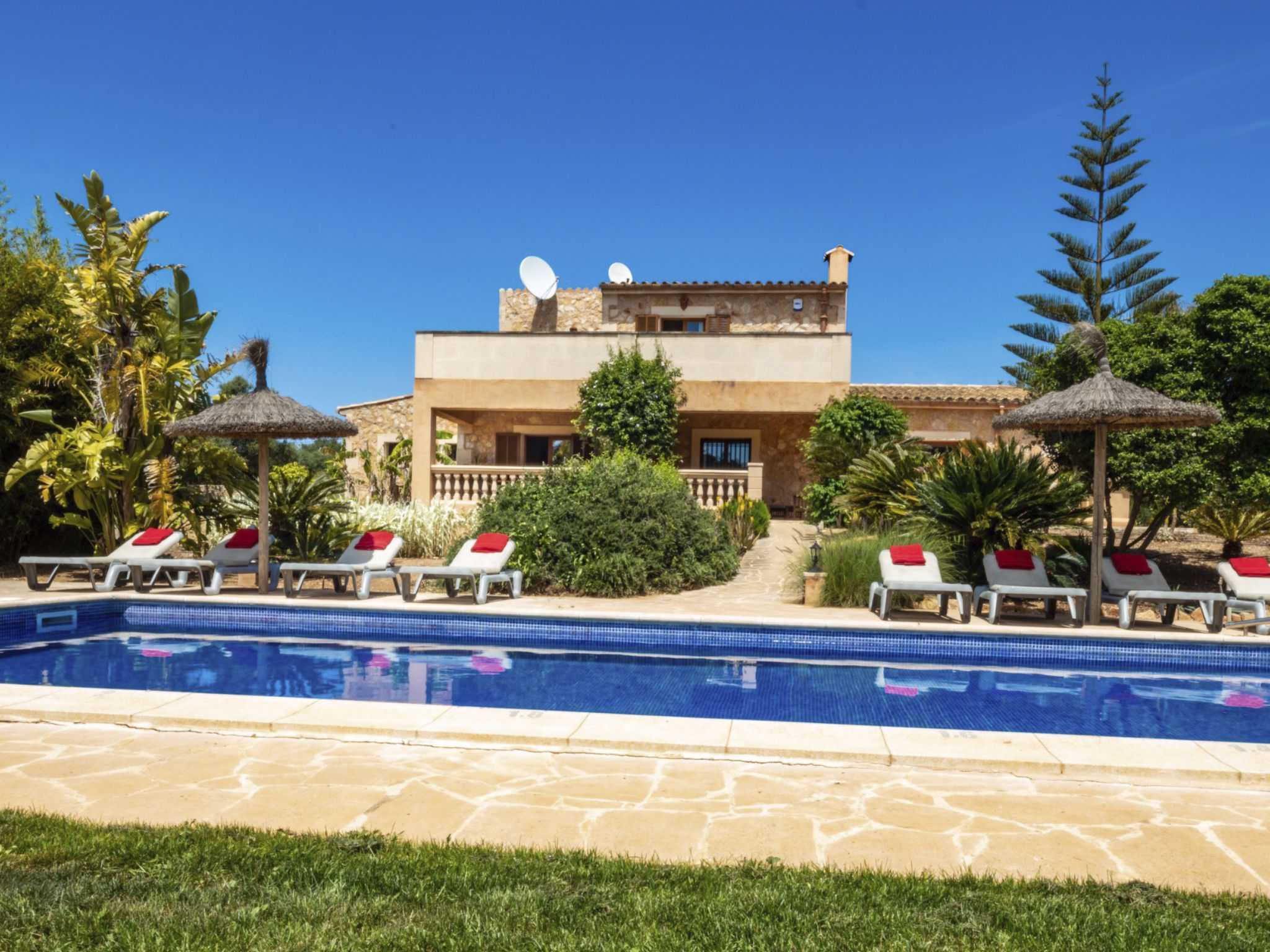 Peris-Image-tags.info