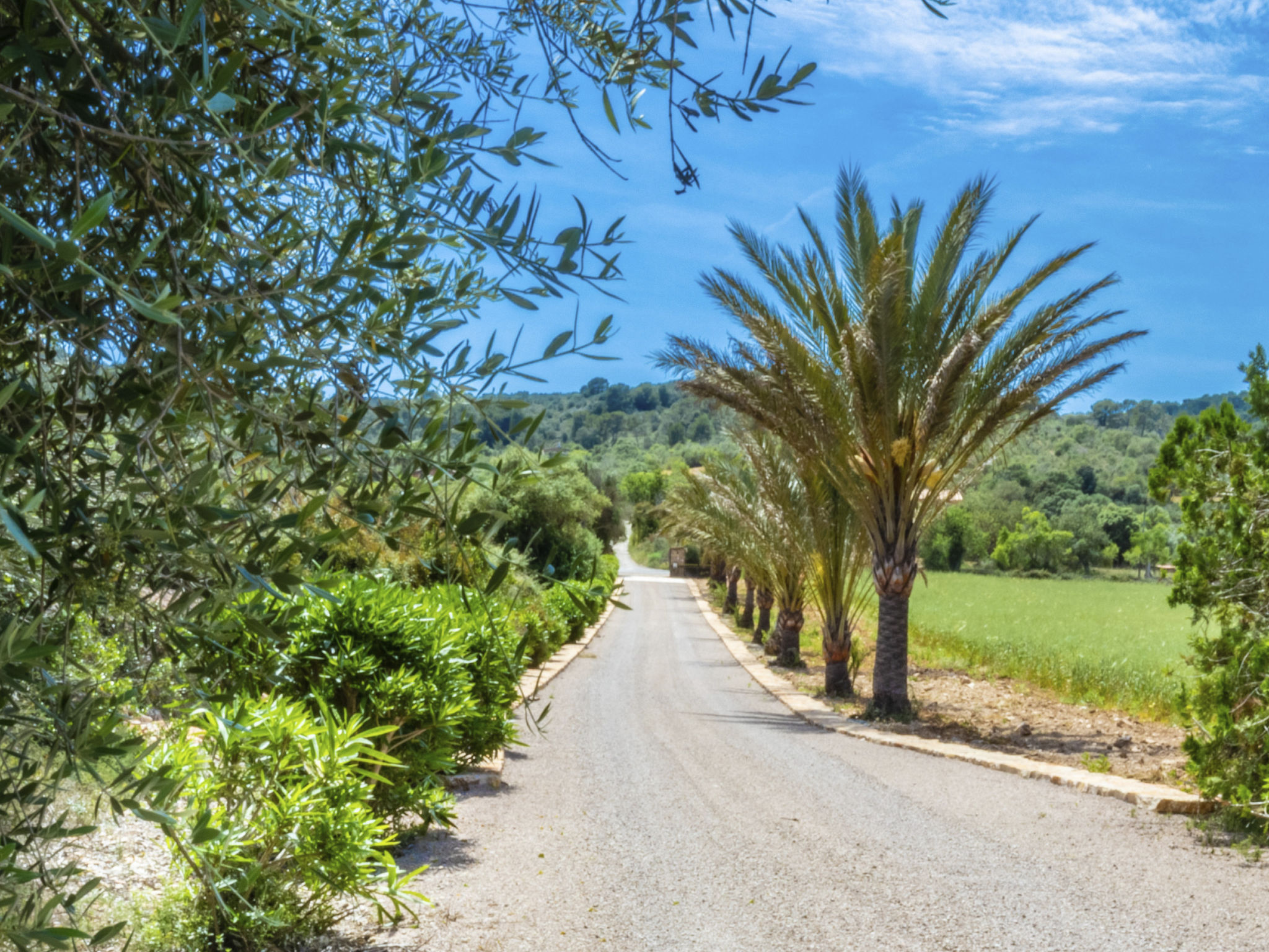 Peris-Image-tags.info