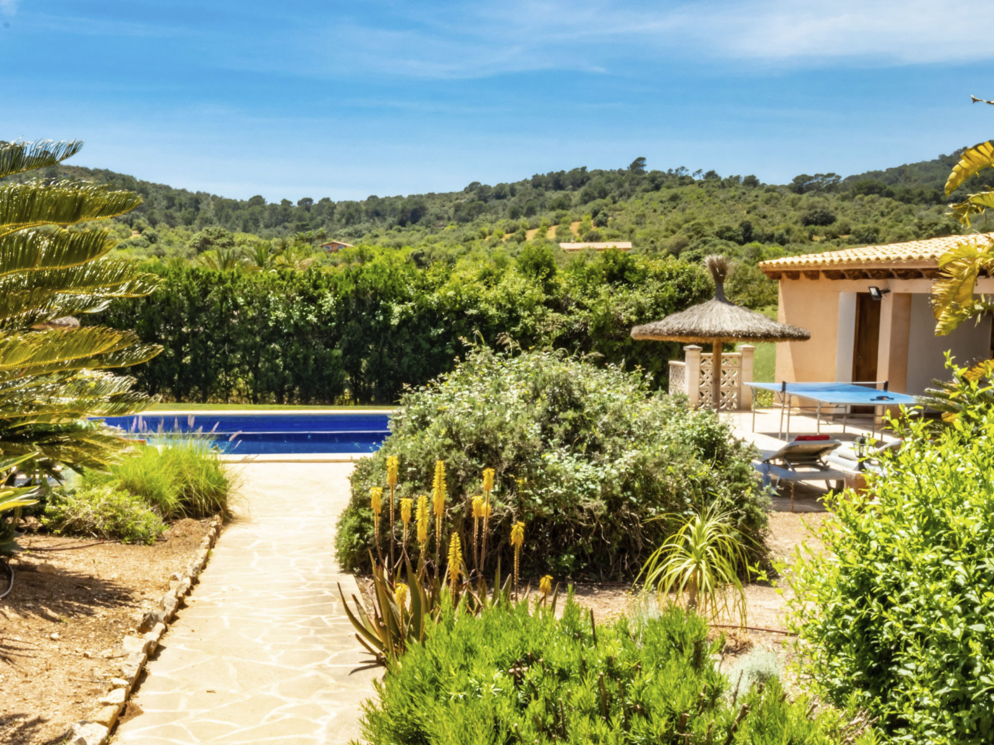 Peris-Image-tags.info