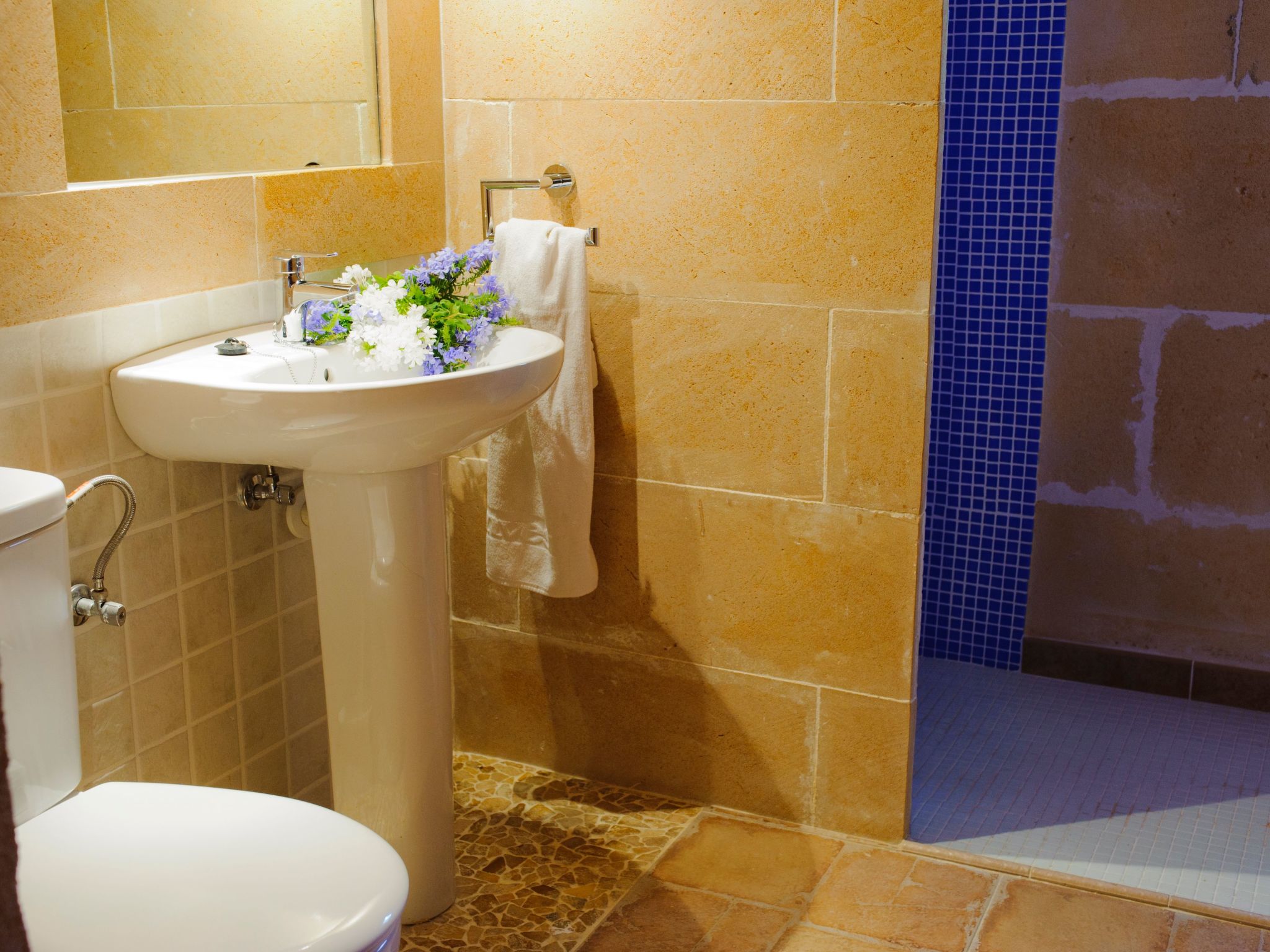 Cabana Barcelo-Image-tags.info