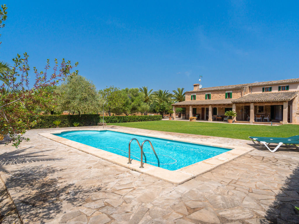 Son Viquet — Pool Outdoor