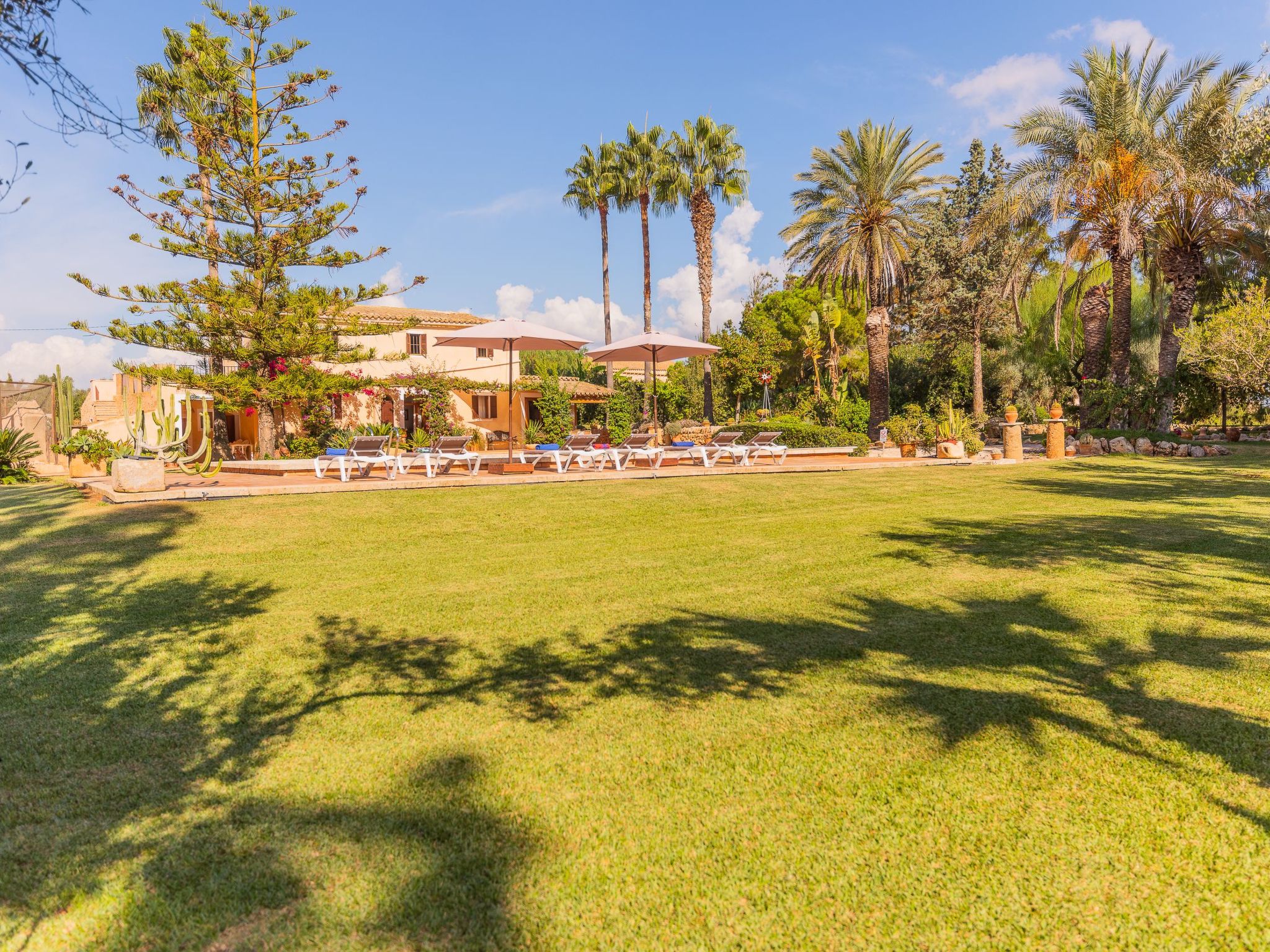 Sitjoles-Image-tags.info