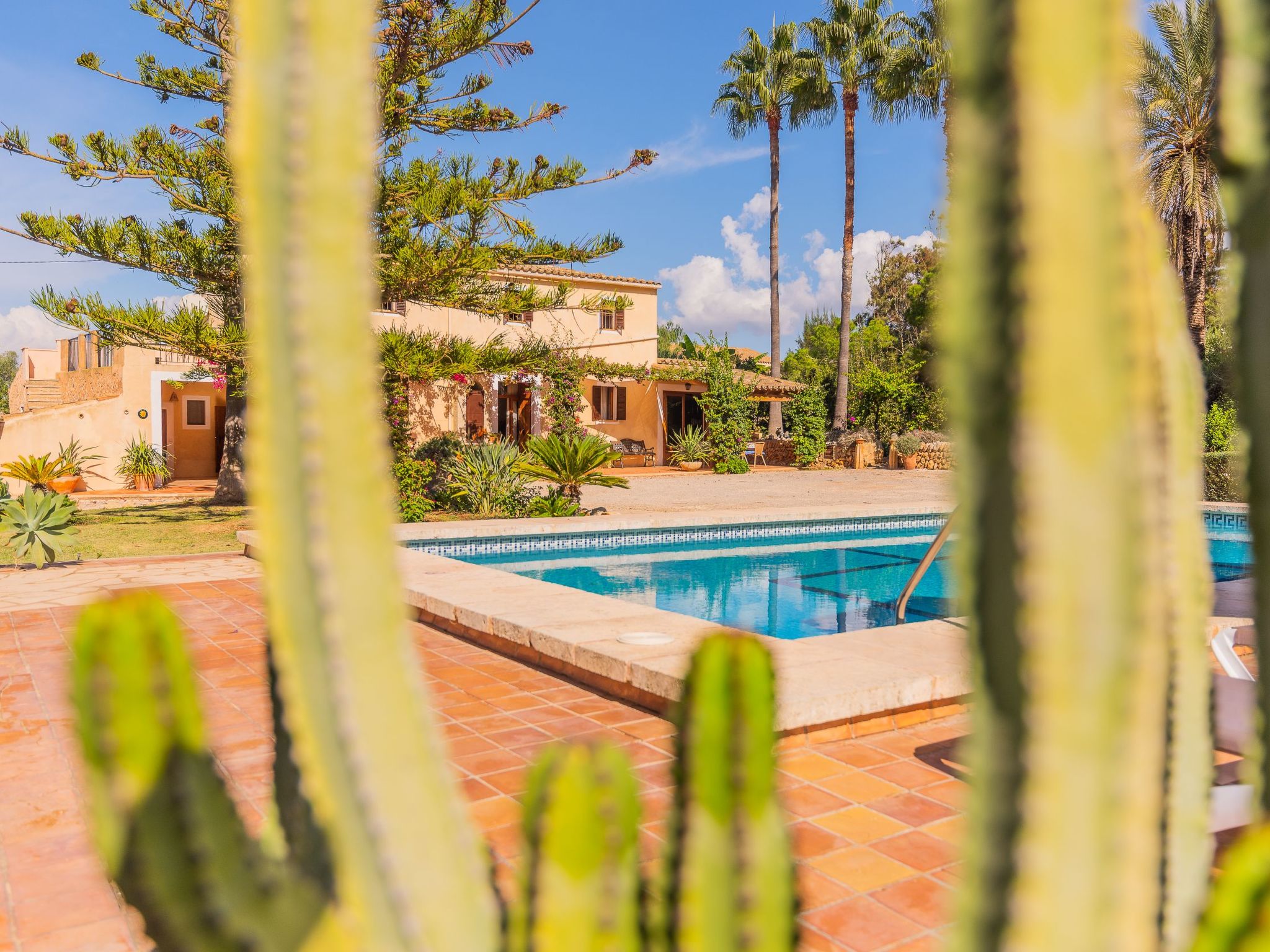 Sitjoles-Image-tags.info